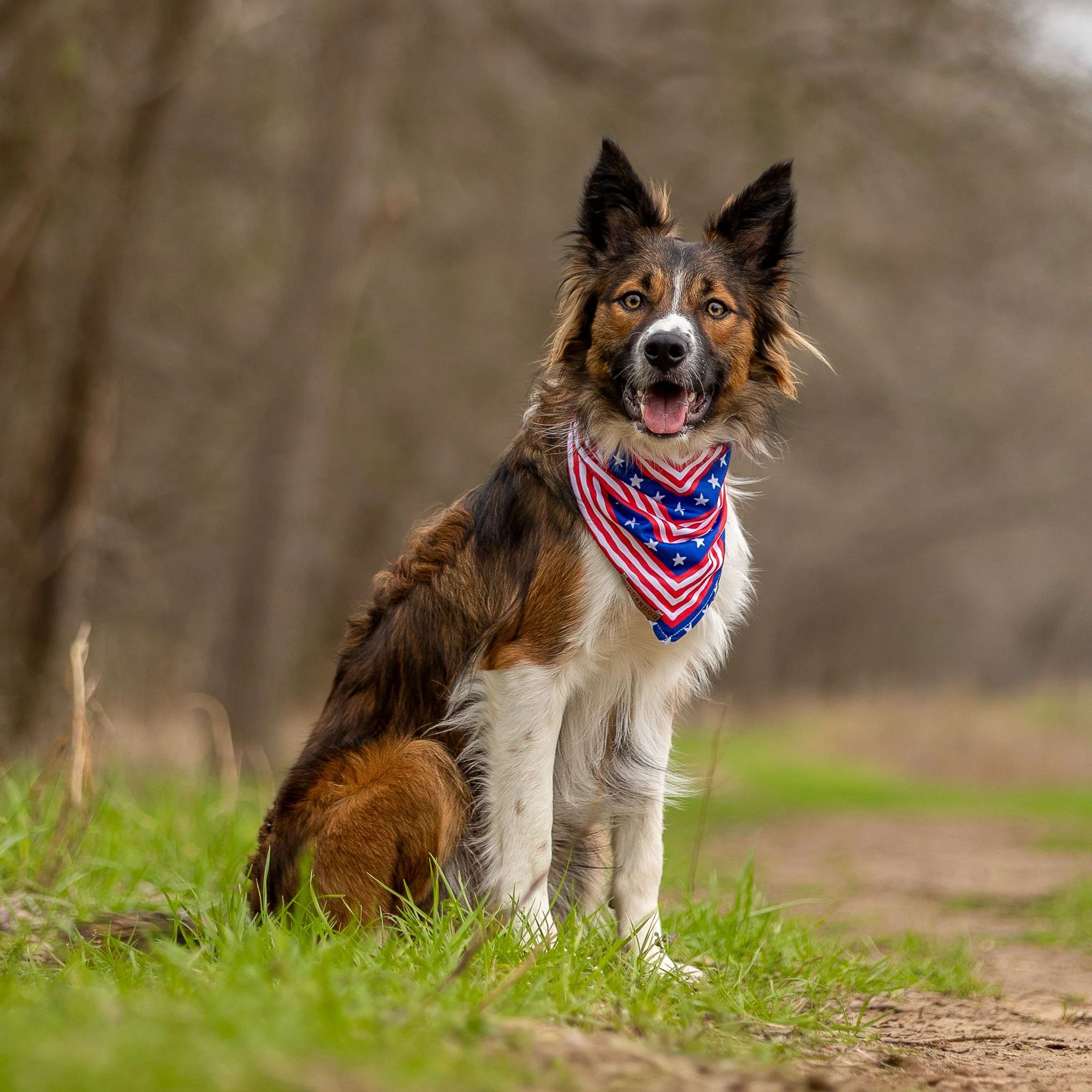 Americana Bandana - Image 2