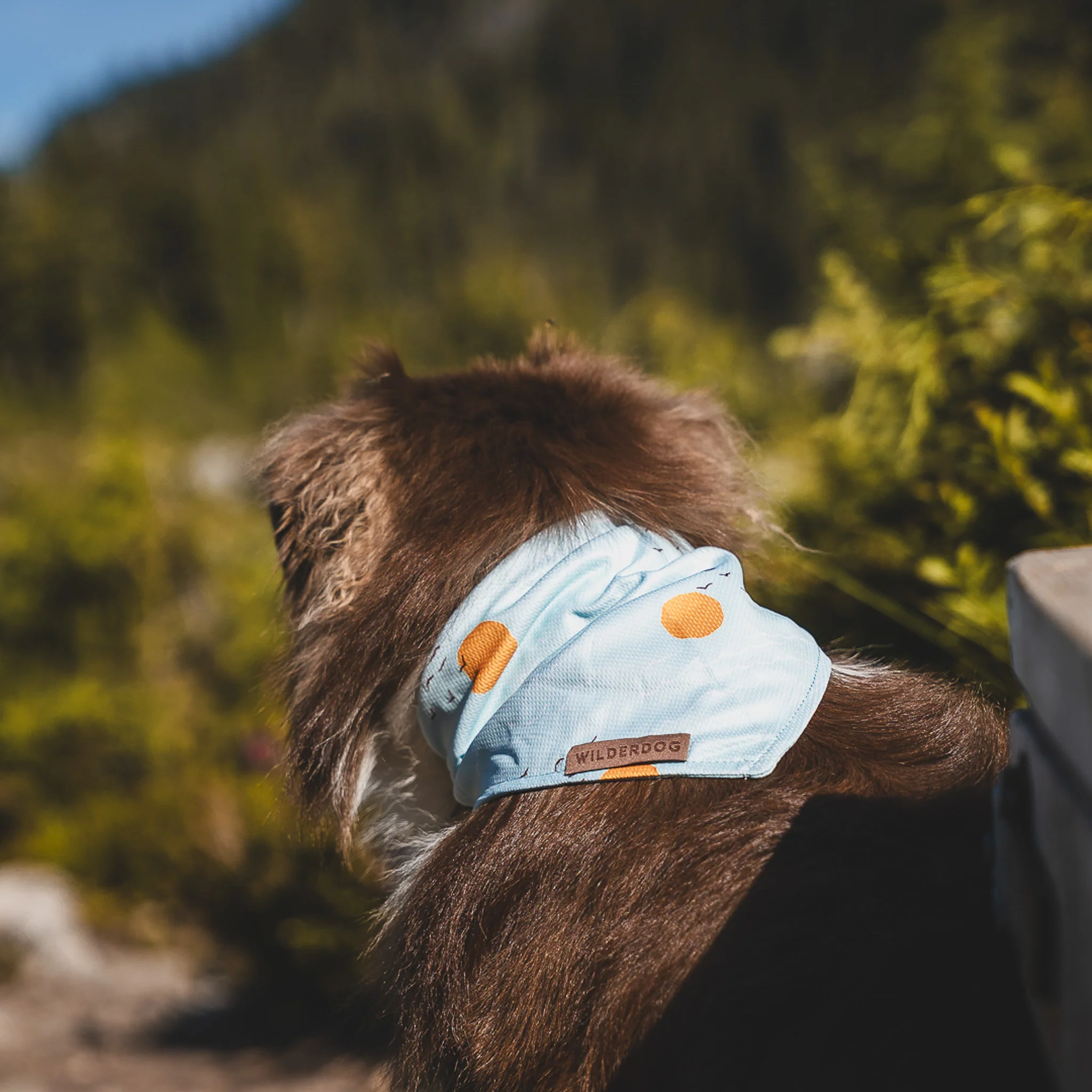 Barnegat Bandana - Image 3