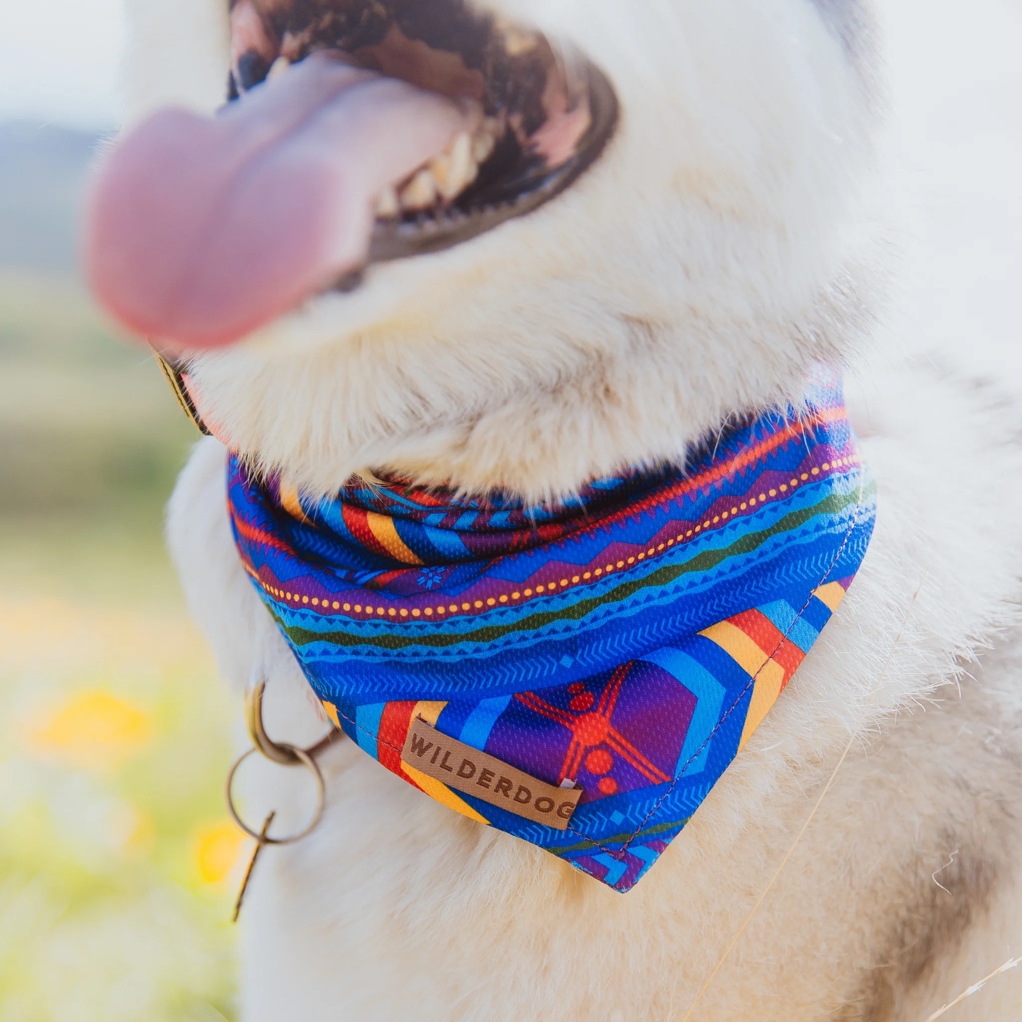Big Sky Bandana - Image 4