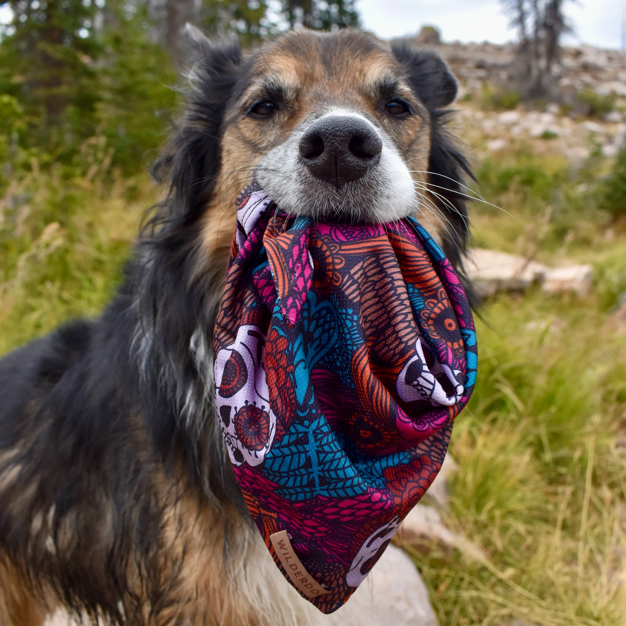 Calavera Bandana - Image 2