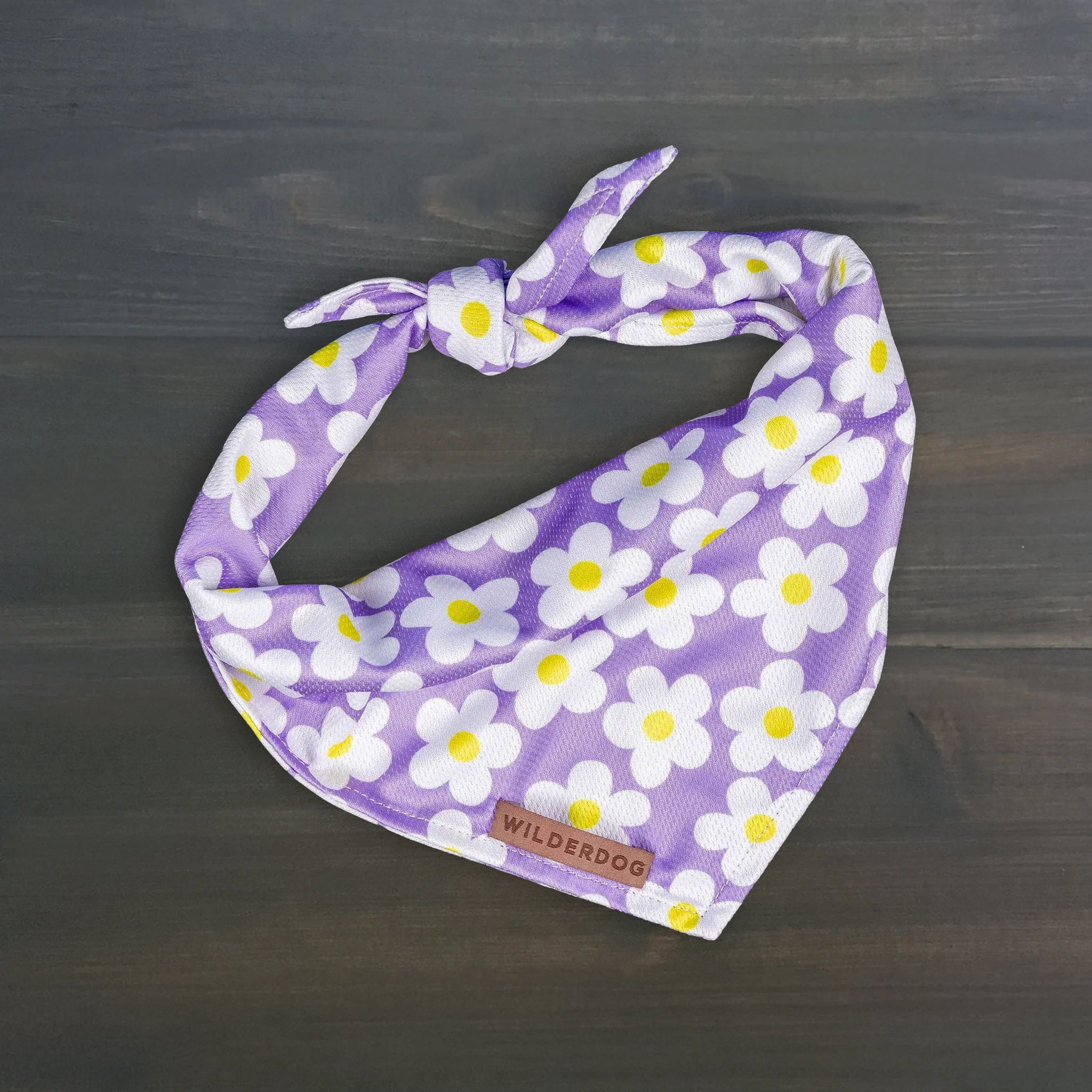 Daisy Bandana