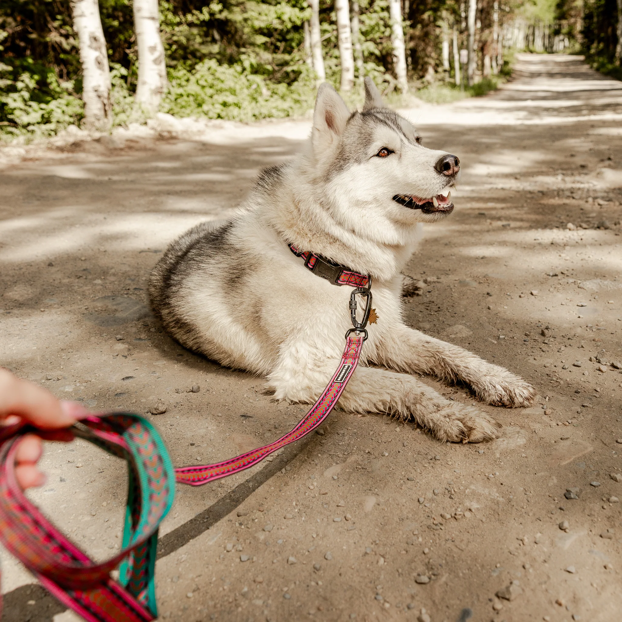 Daybreak Ultralight Leash - Image 5