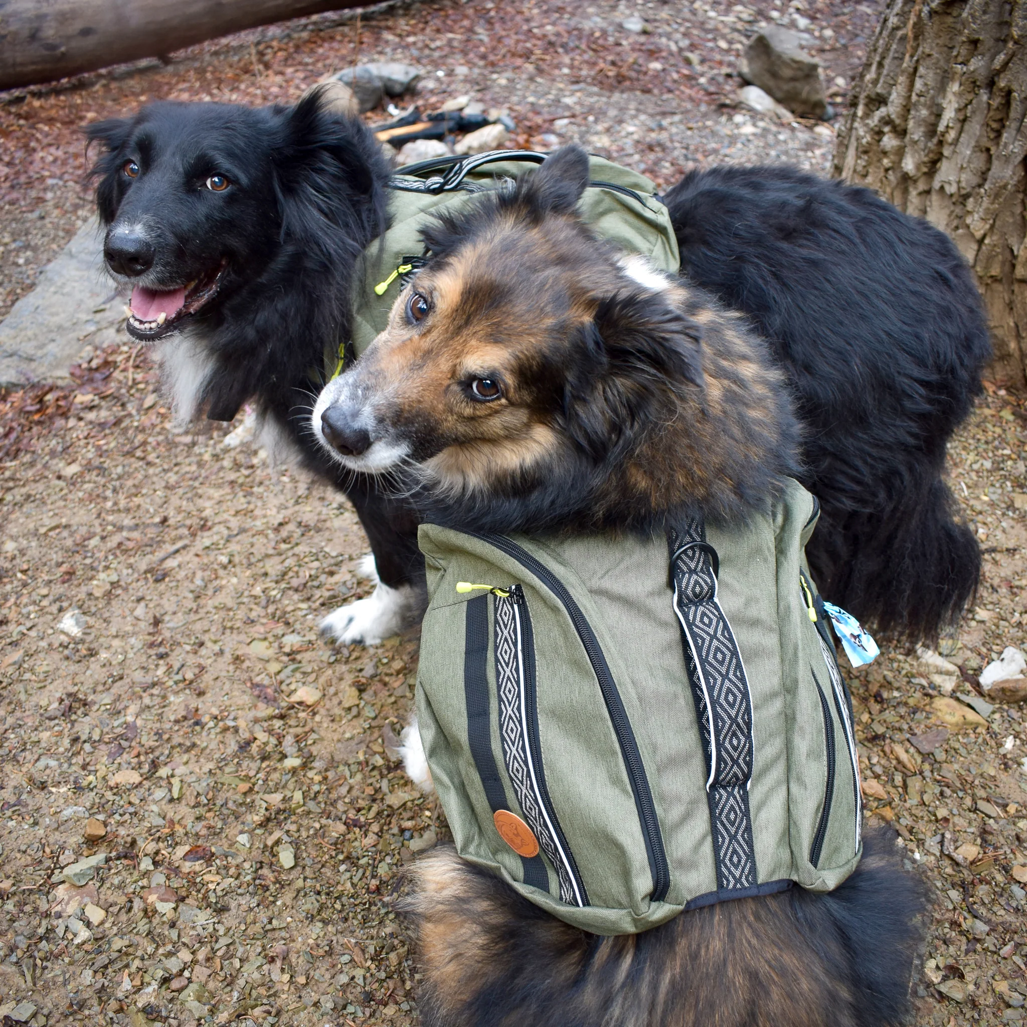 Dog Backpack - Image 12