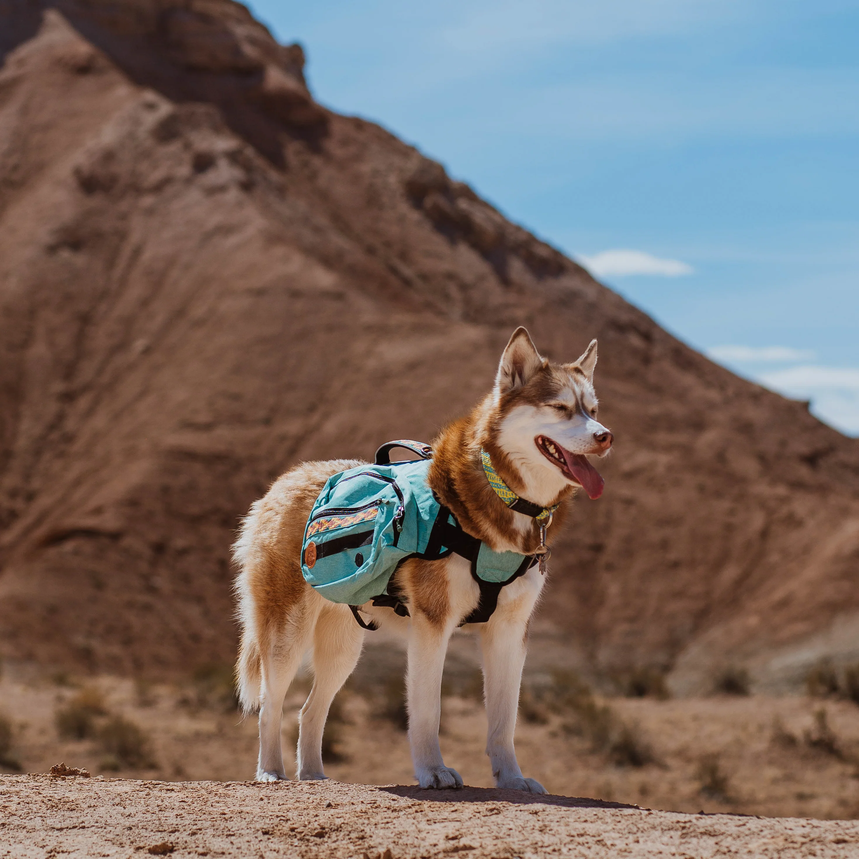 Dog Backpack - Image 4