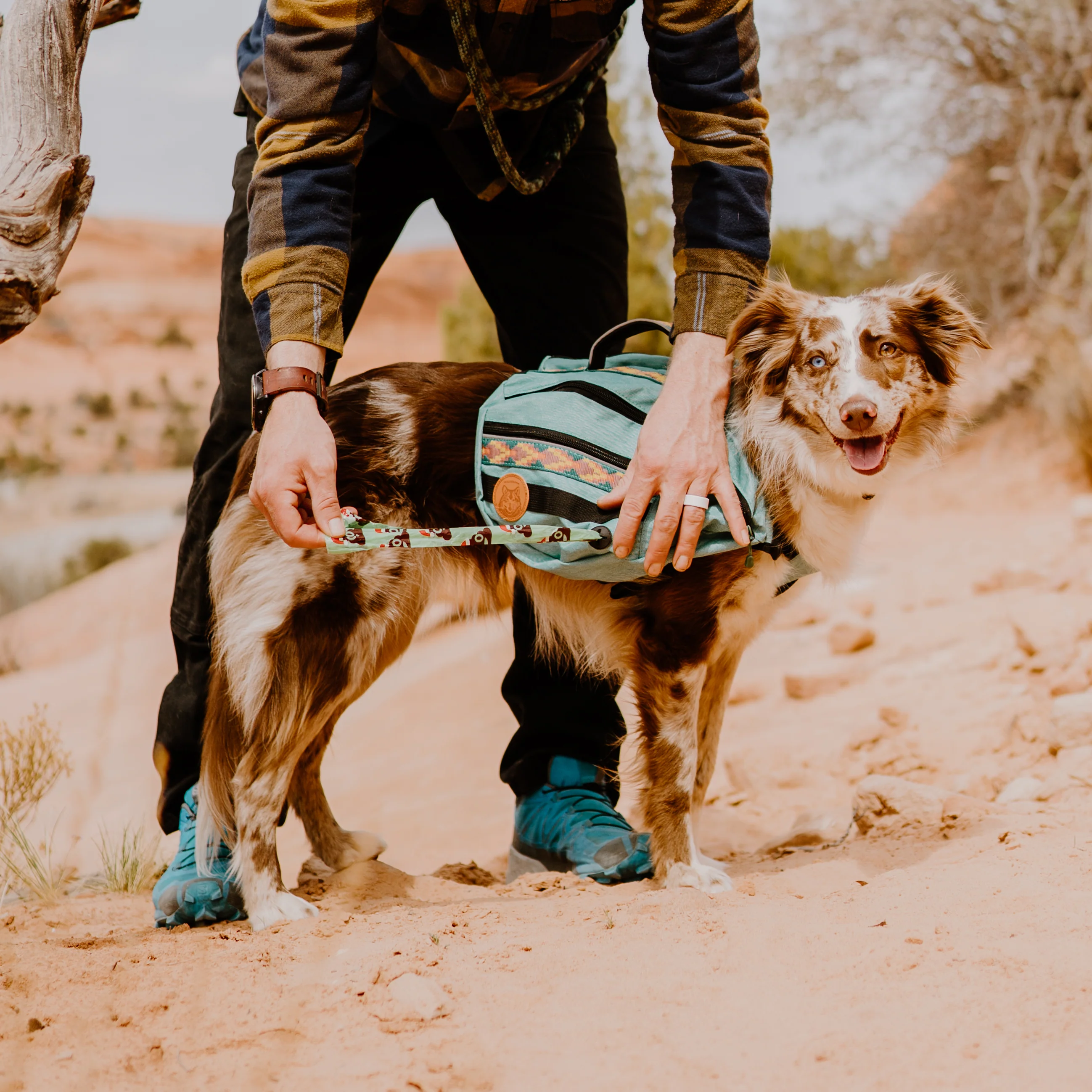 Dog Backpack - Image 6