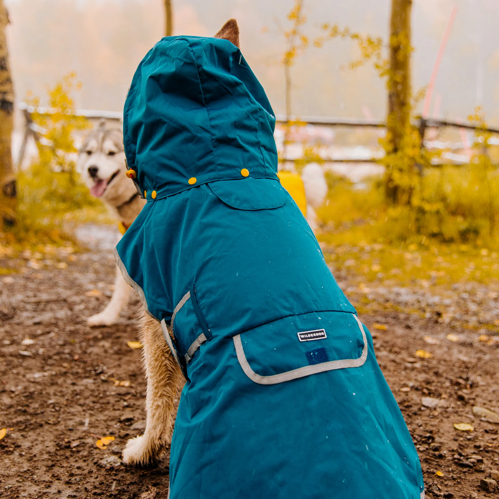 Dog Rain Jacket - Image 4