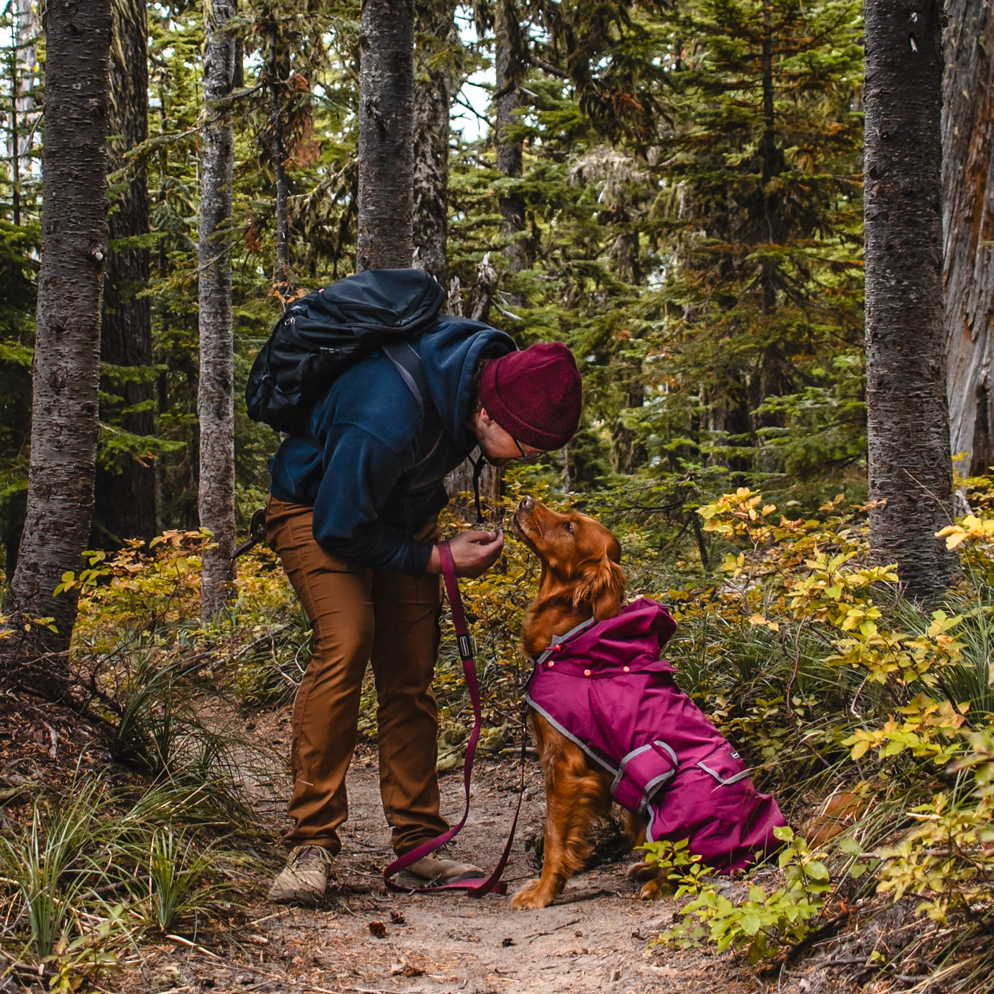 Dog Rain Jacket - Image 6