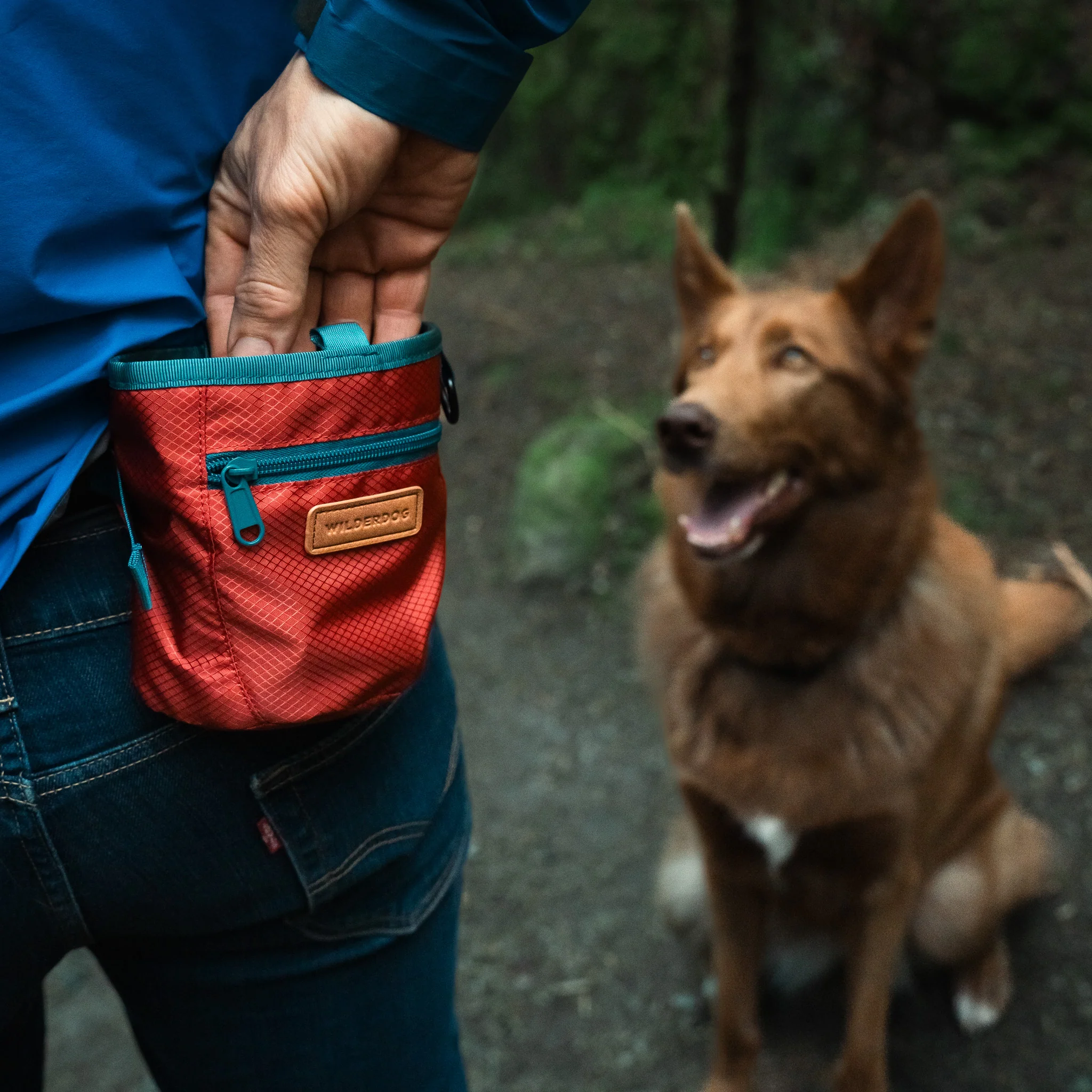 Dog Training Treat Pouch - Image 2