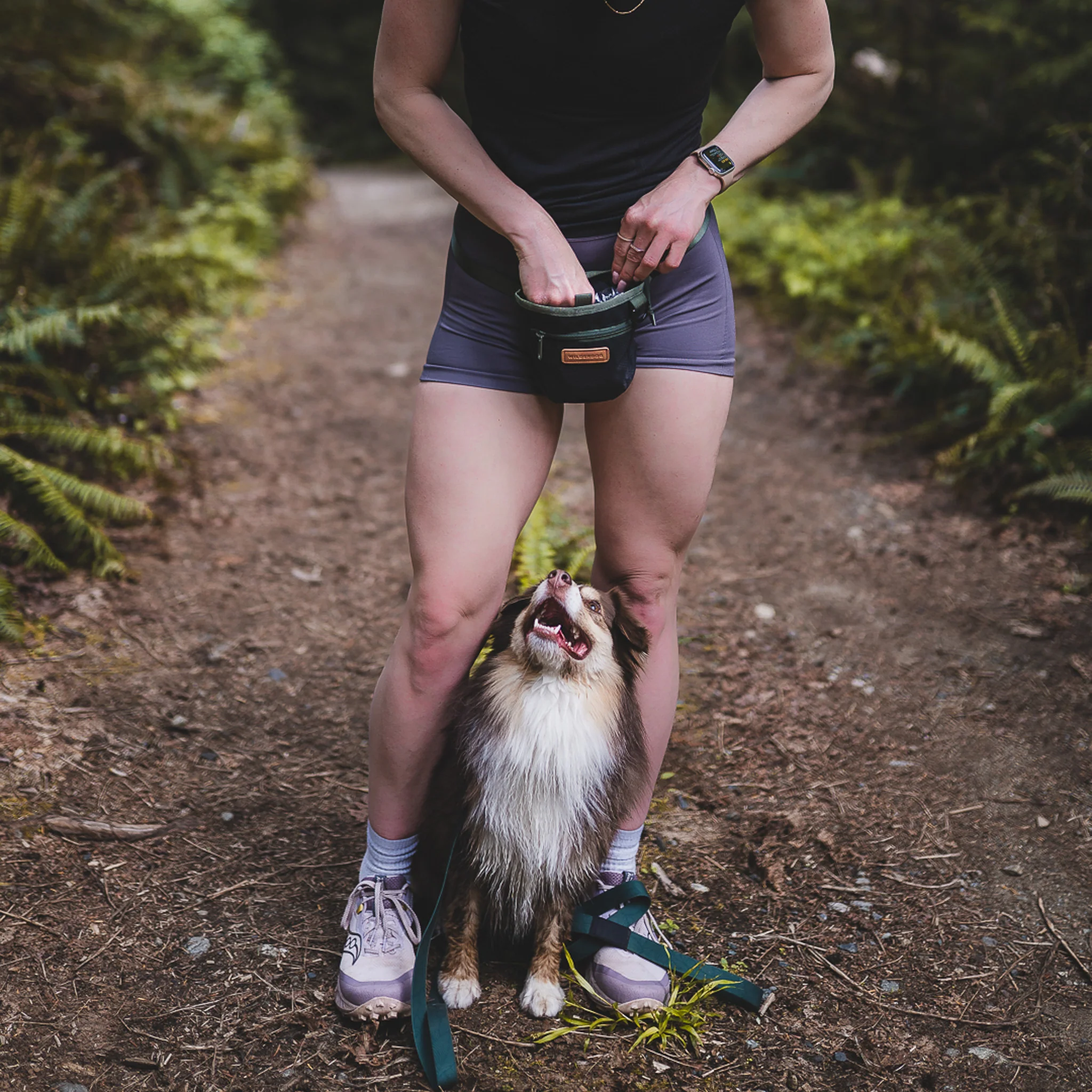 Dog Training Treat Pouch - Image 4