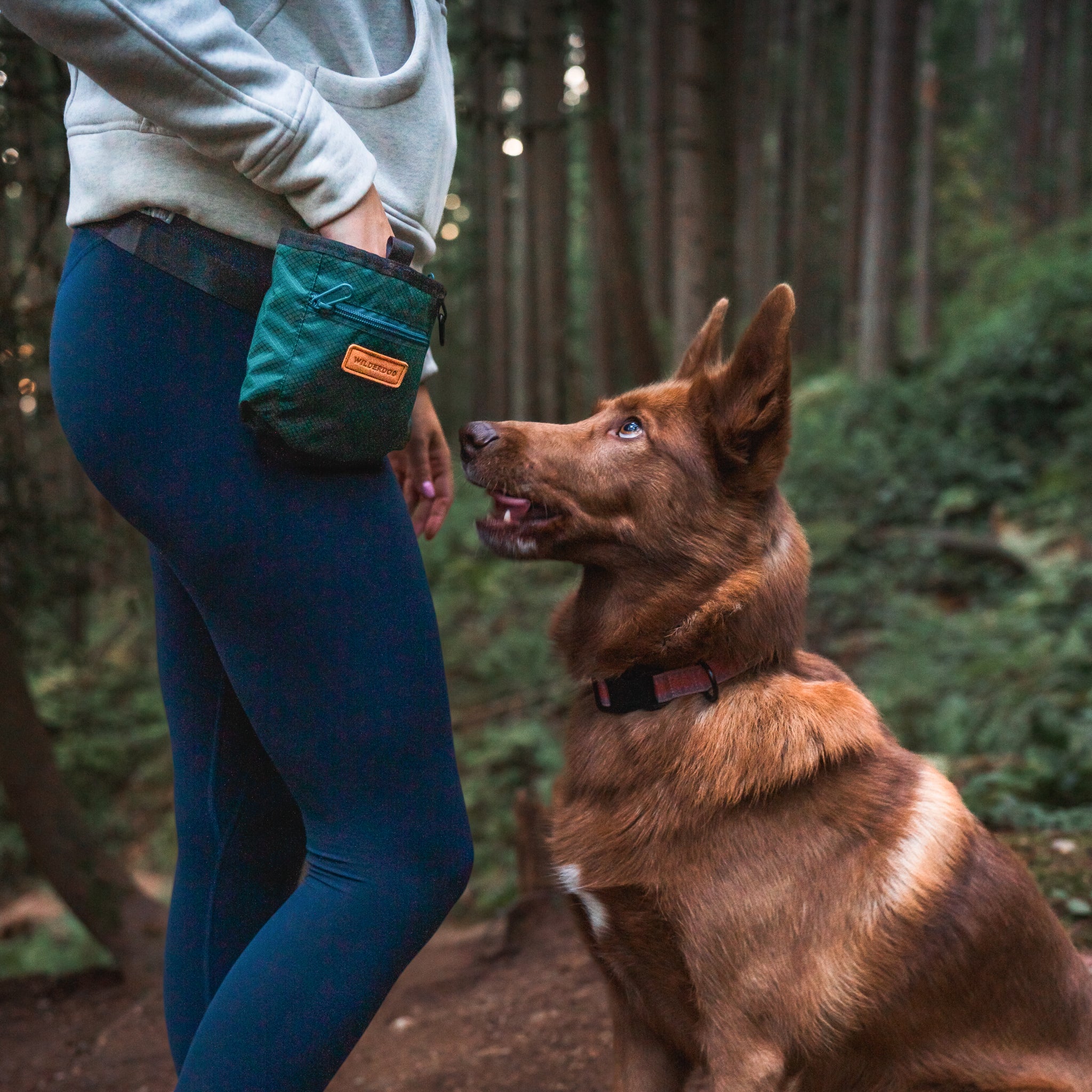 Dog Training Treat Pouch - Image 6