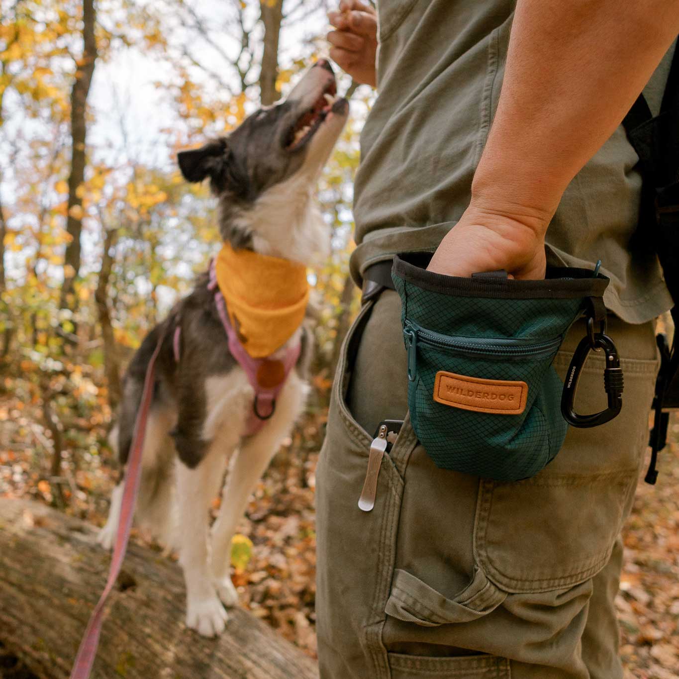 Dog Training Treat Pouch - Image 7