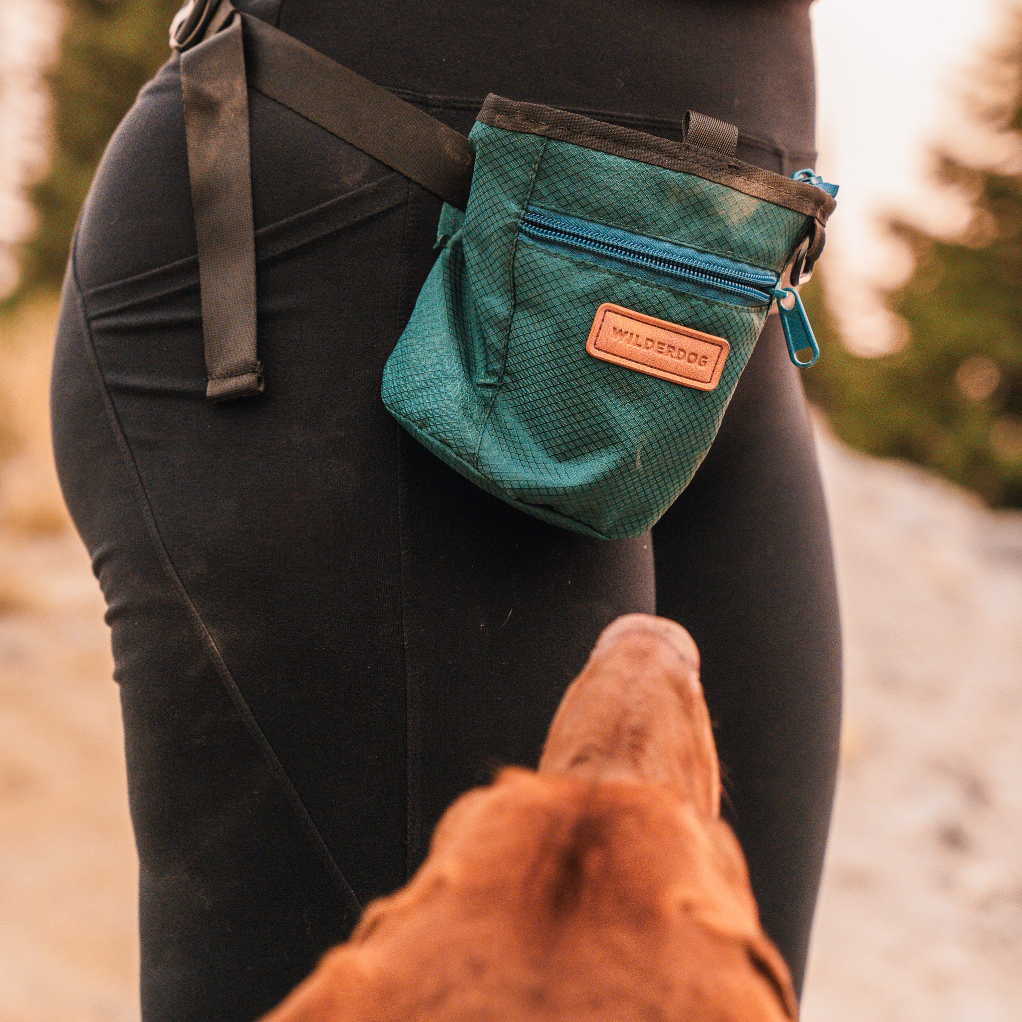 Dog Training Treat Pouch - Image 9
