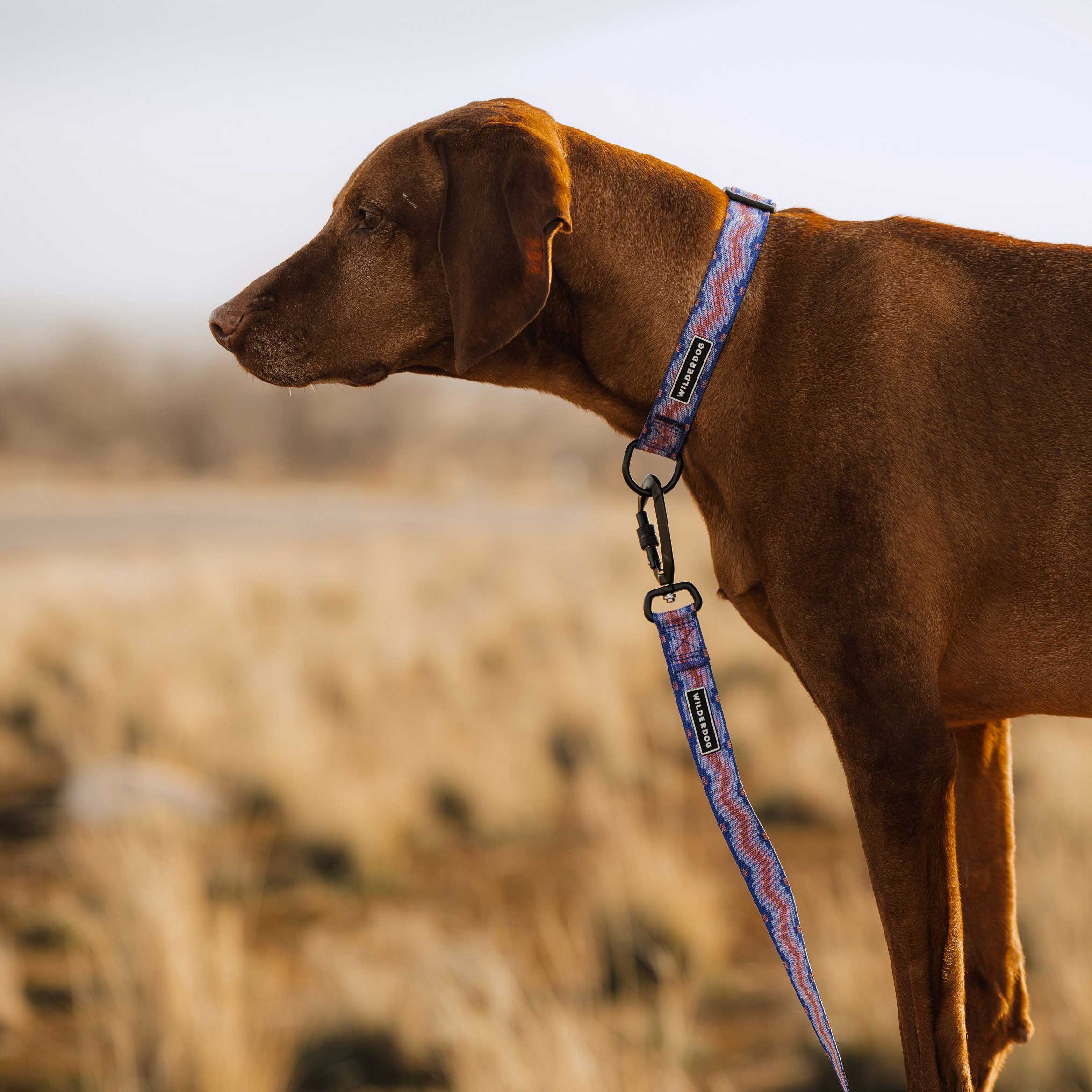 Fireweed Ultralight Collar - Image 3