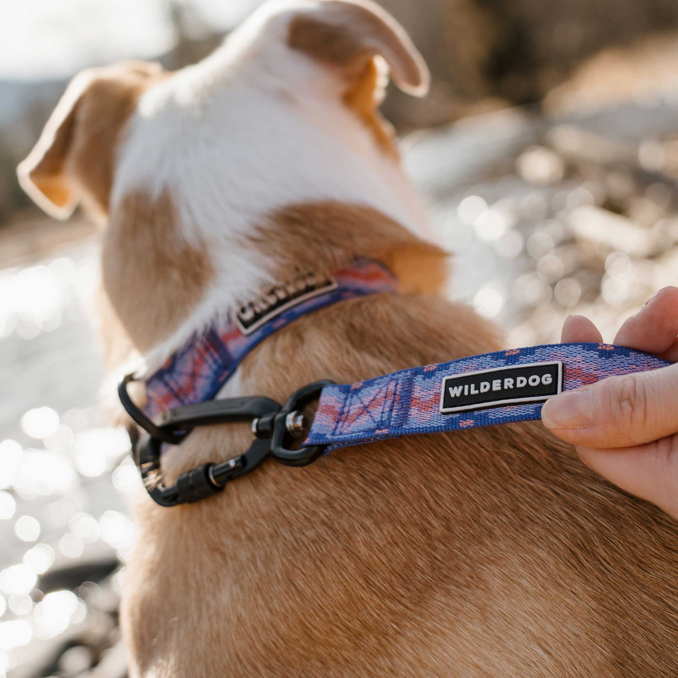 Fireweed Ultralight Leash - Image 3