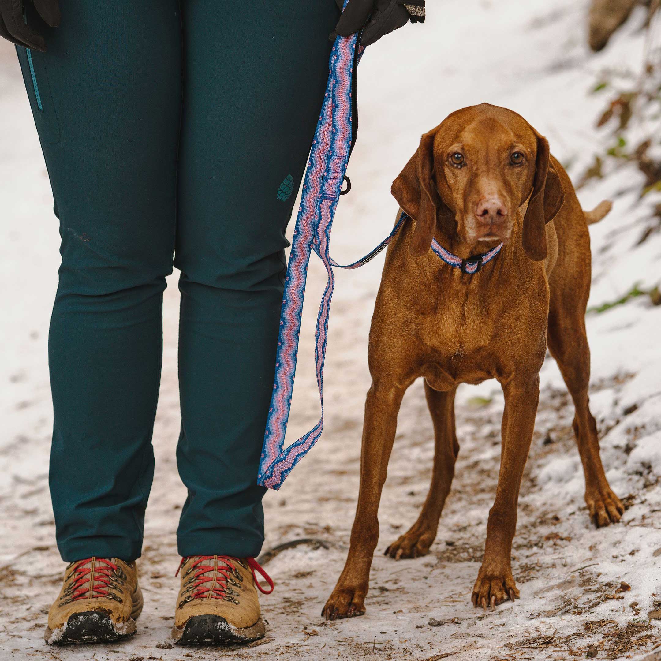 Fireweed Ultralight Leash - Image 4