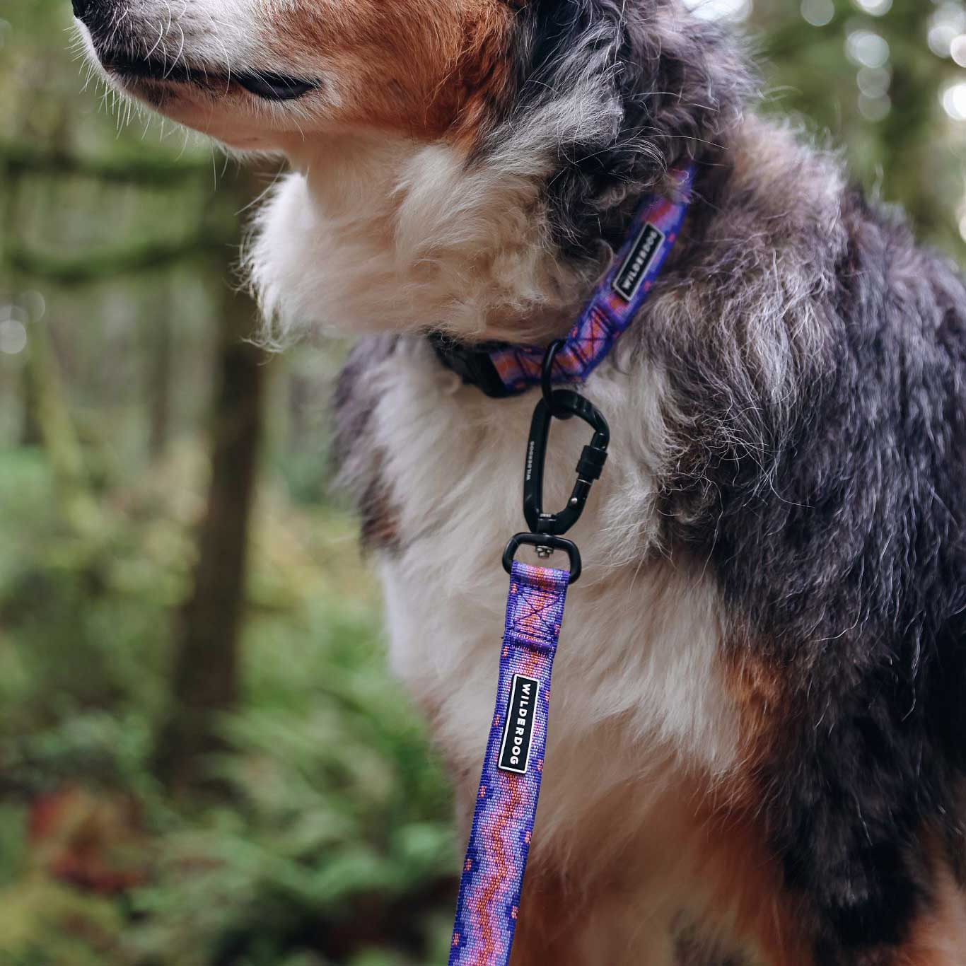 Fireweed Ultralight Leash - Image 5