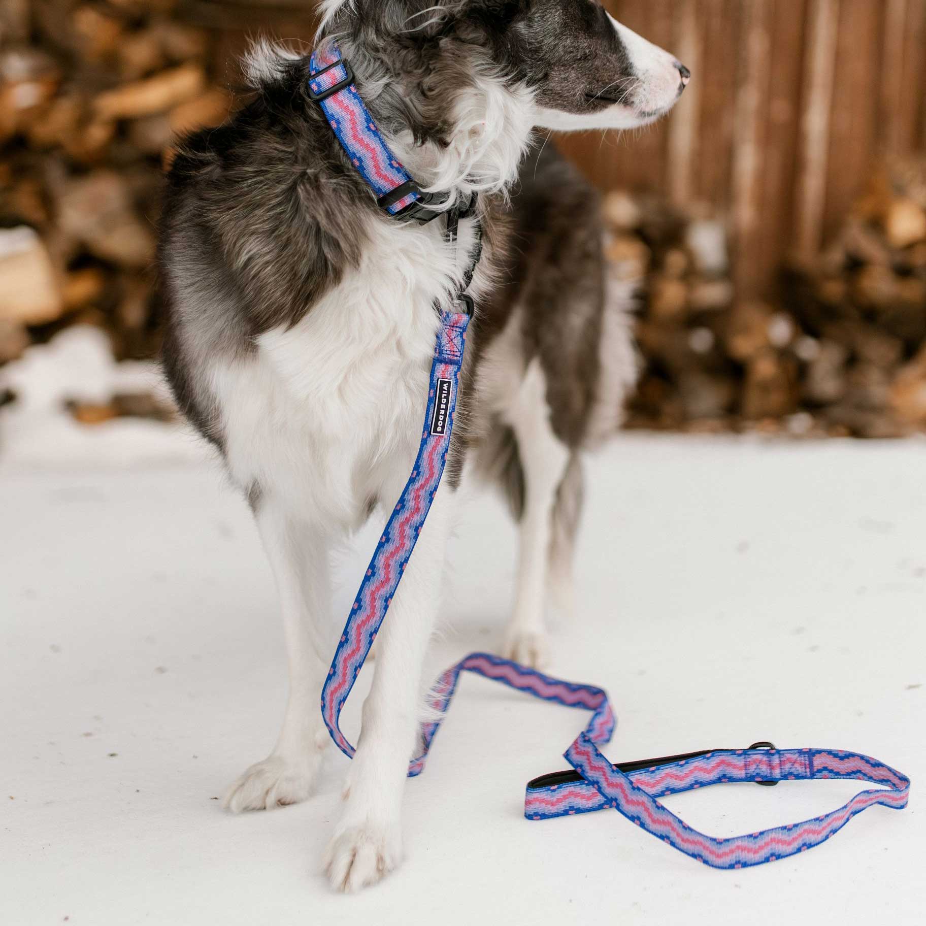 Fireweed Ultralight Leash - Image 6
