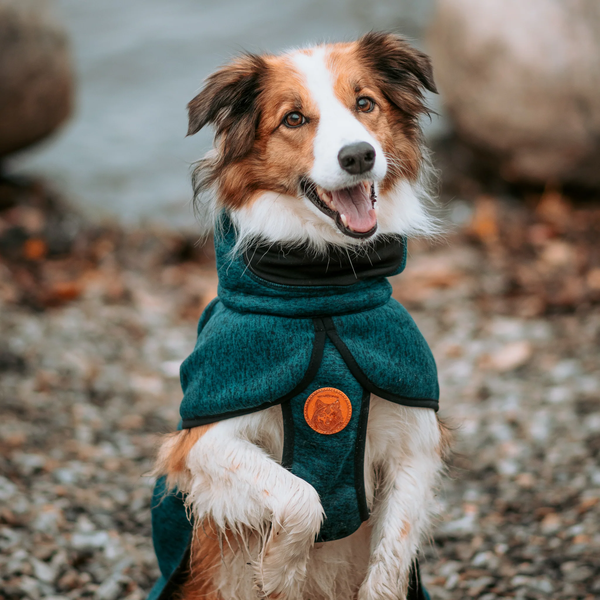 Fleece Jacket - Image 4