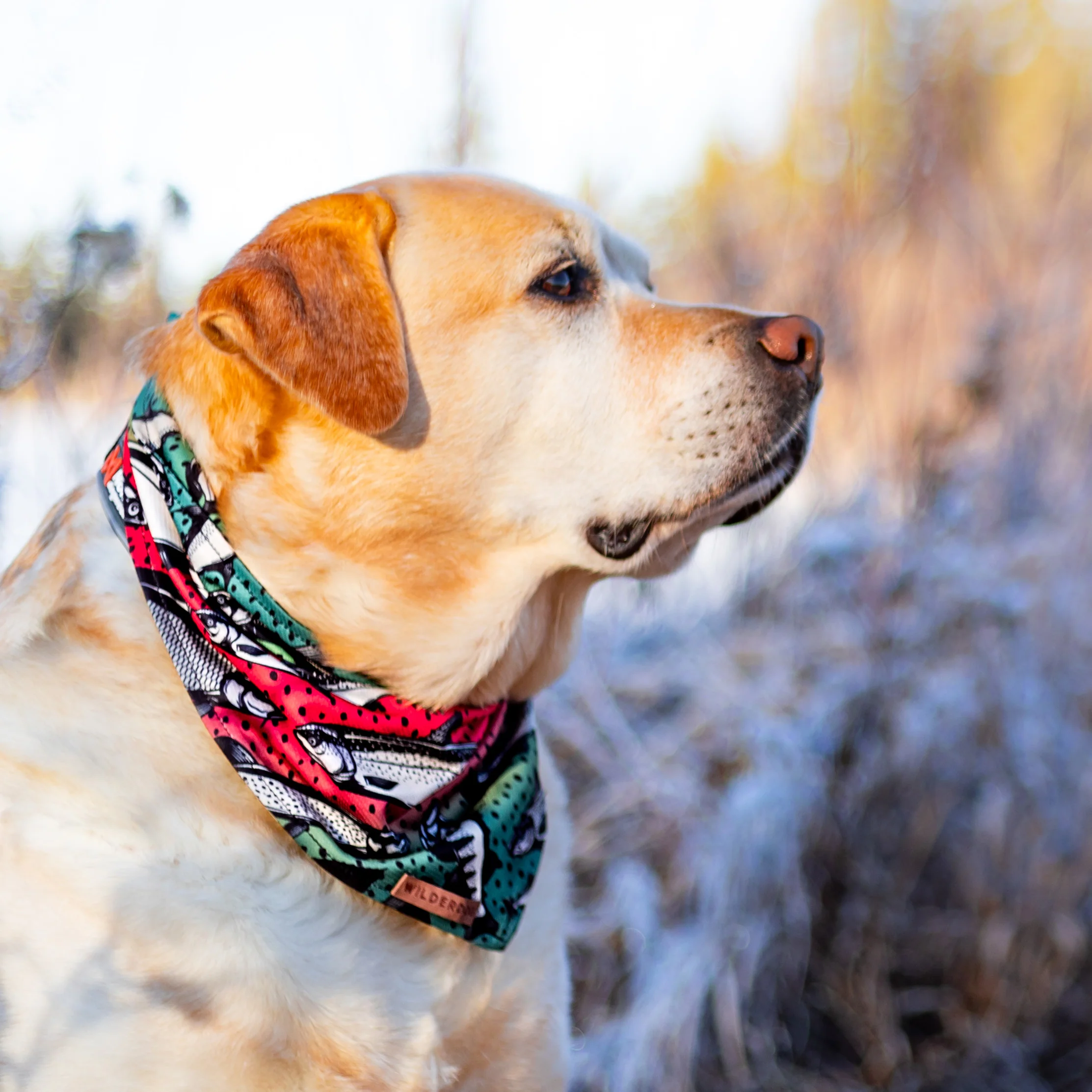 Gone Fishing Bandana - Image 3