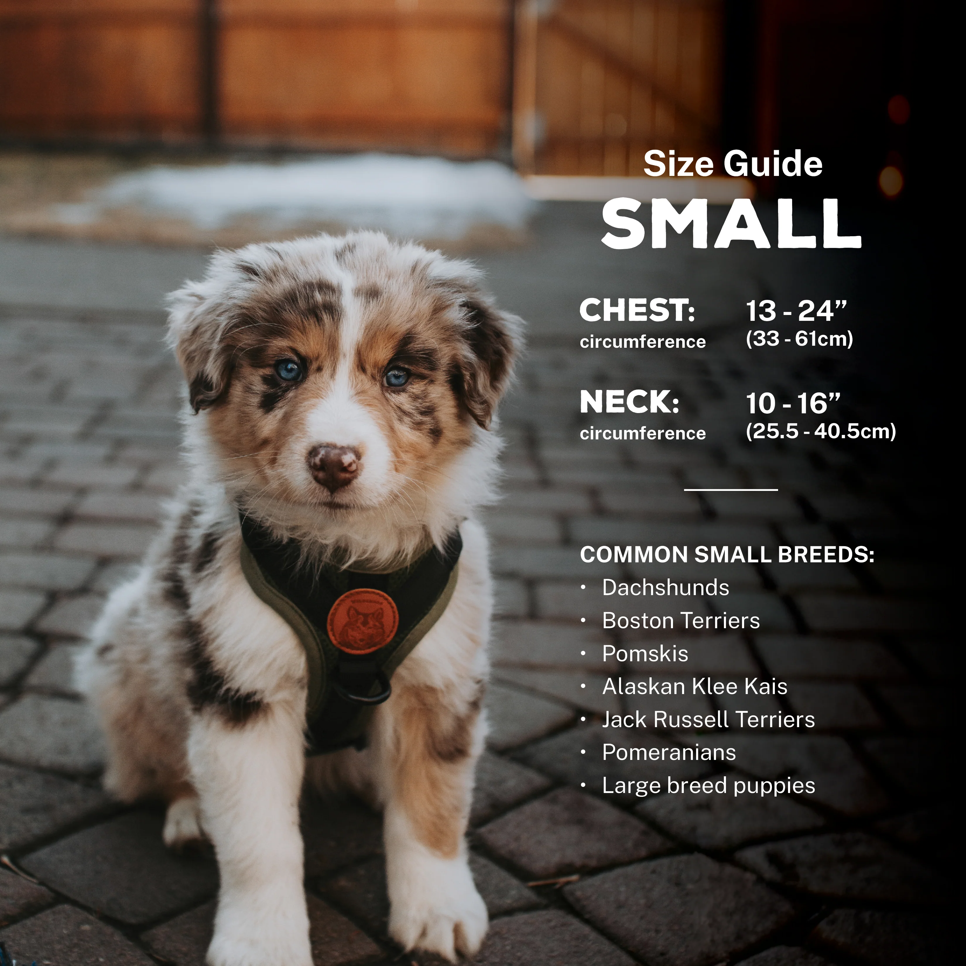 Dog Harness - Image 11