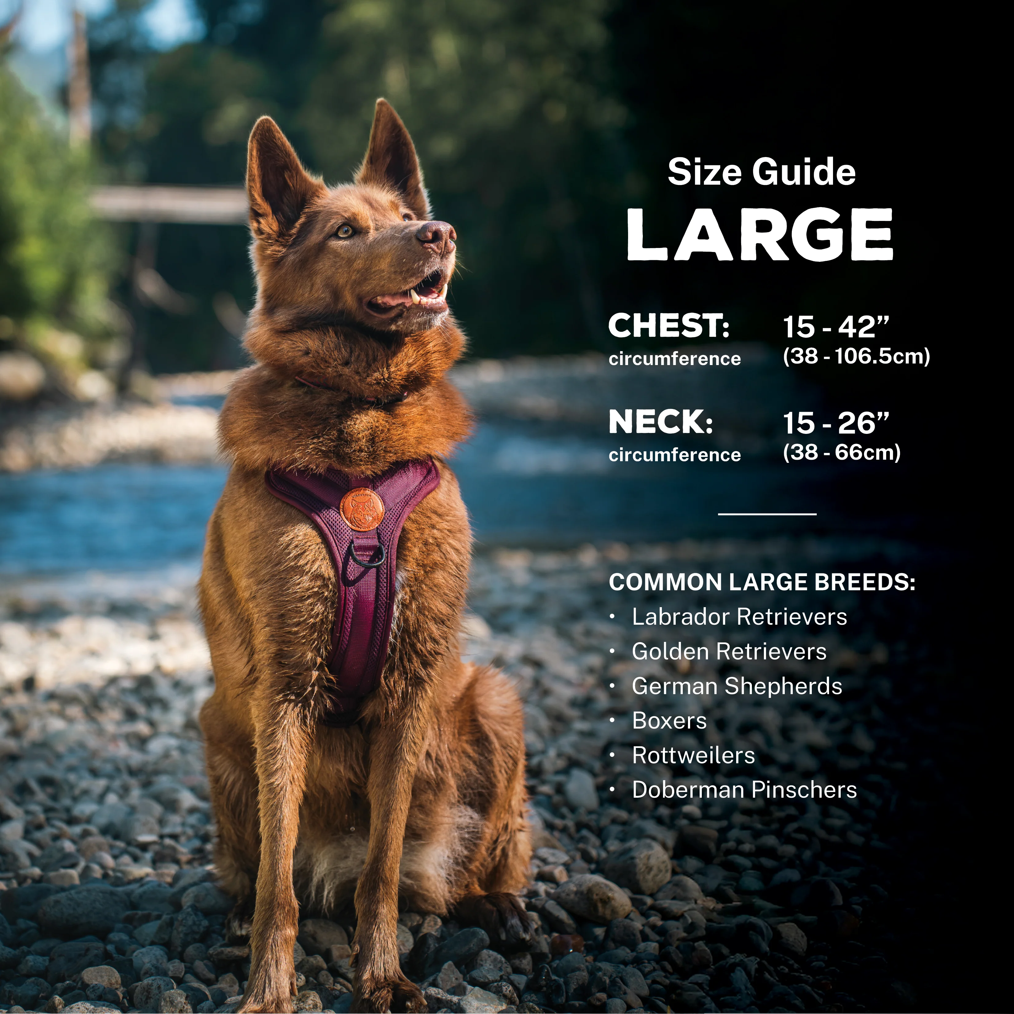 Dog Harness - Image 13