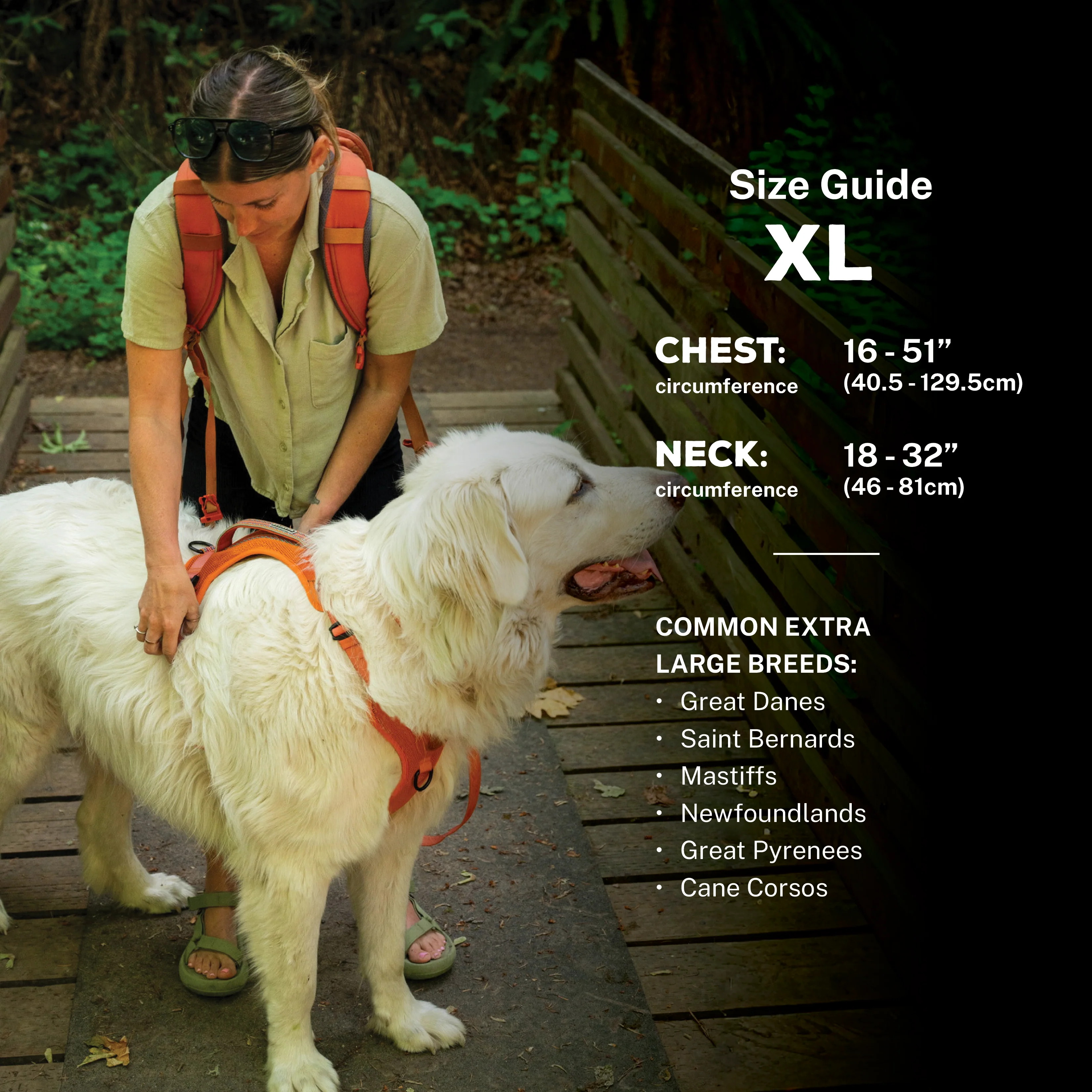Dog Harness - Image 14