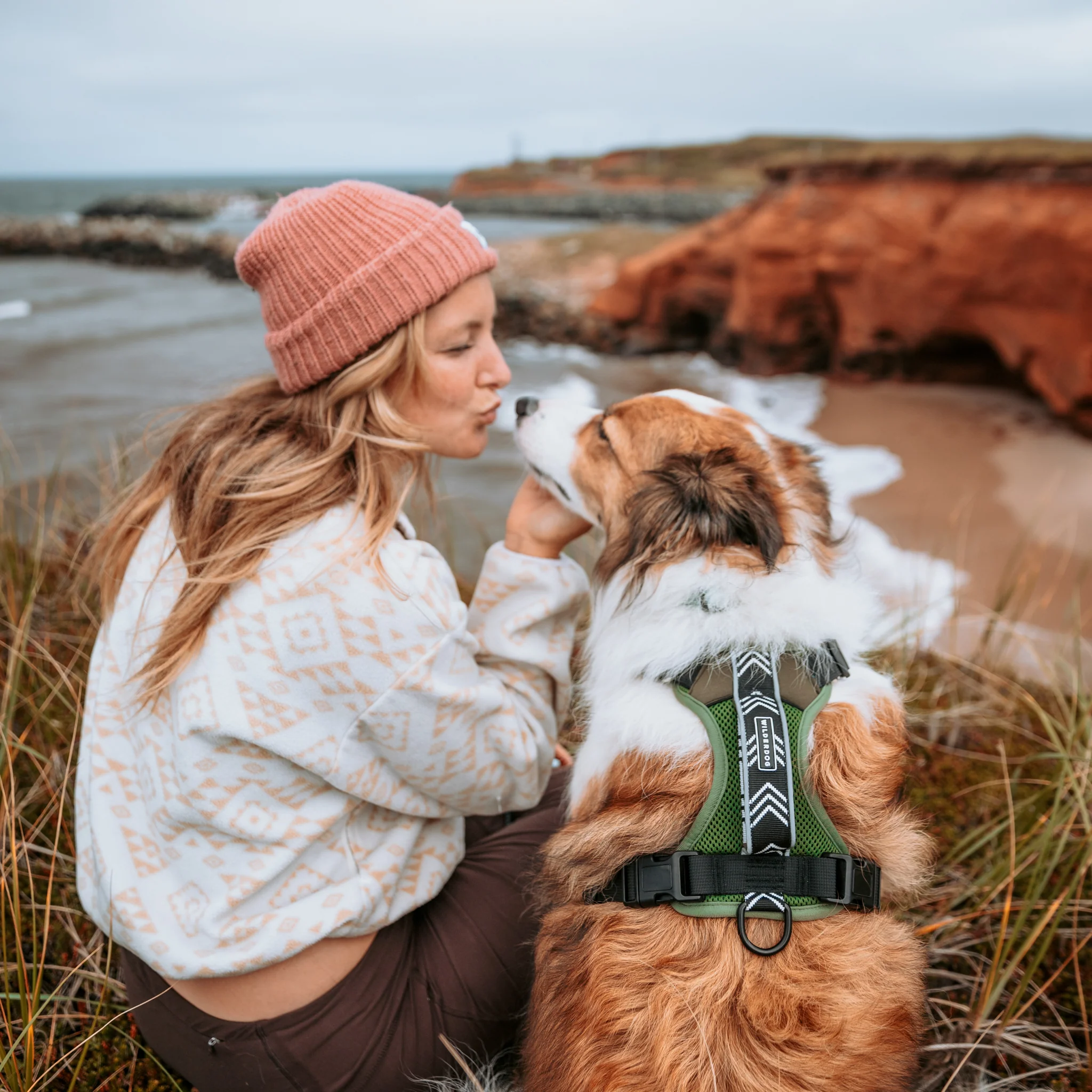Dog Harness - Image 3