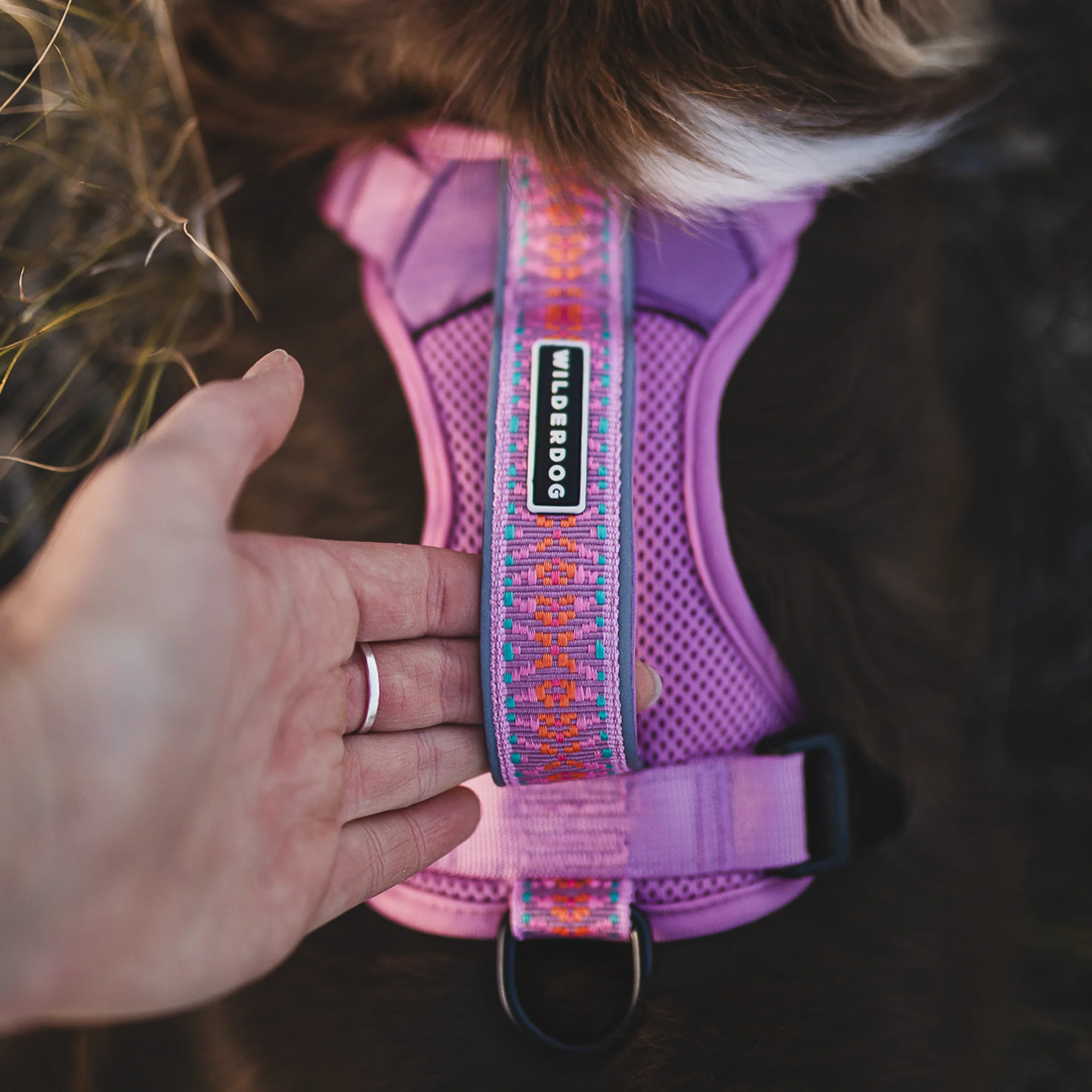 Dog Harness - Image 4