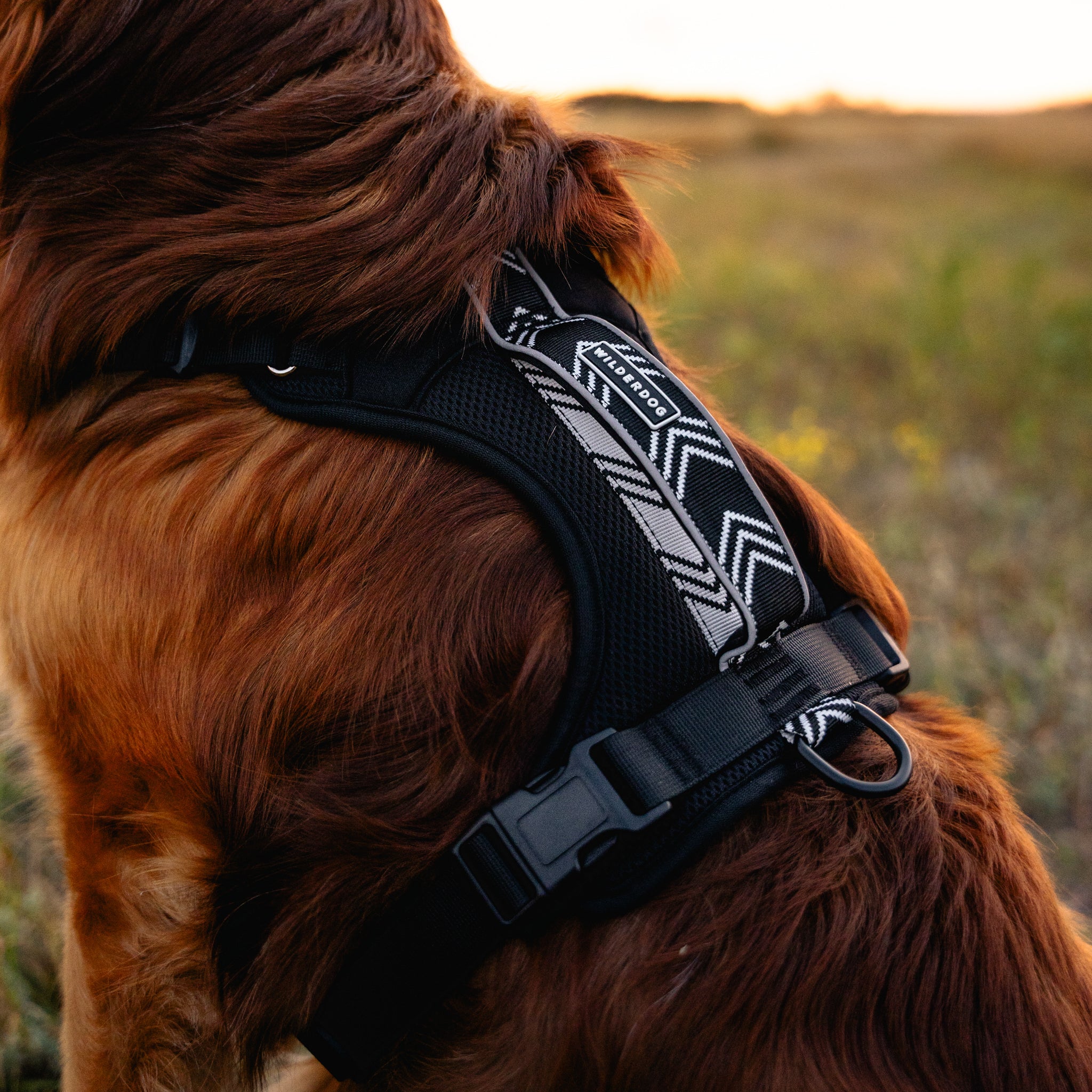 Dog Harness - Image 6