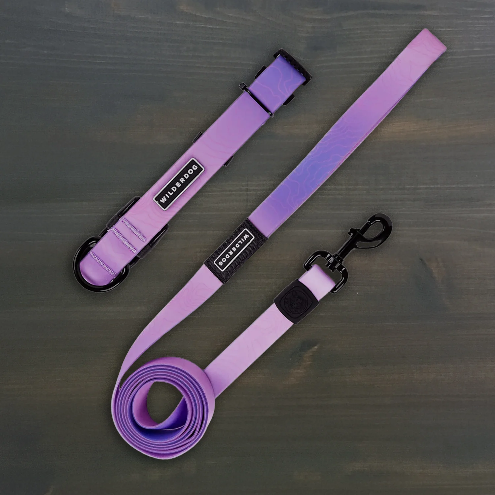 Aurora Waterproof Leash + Collar Bundle