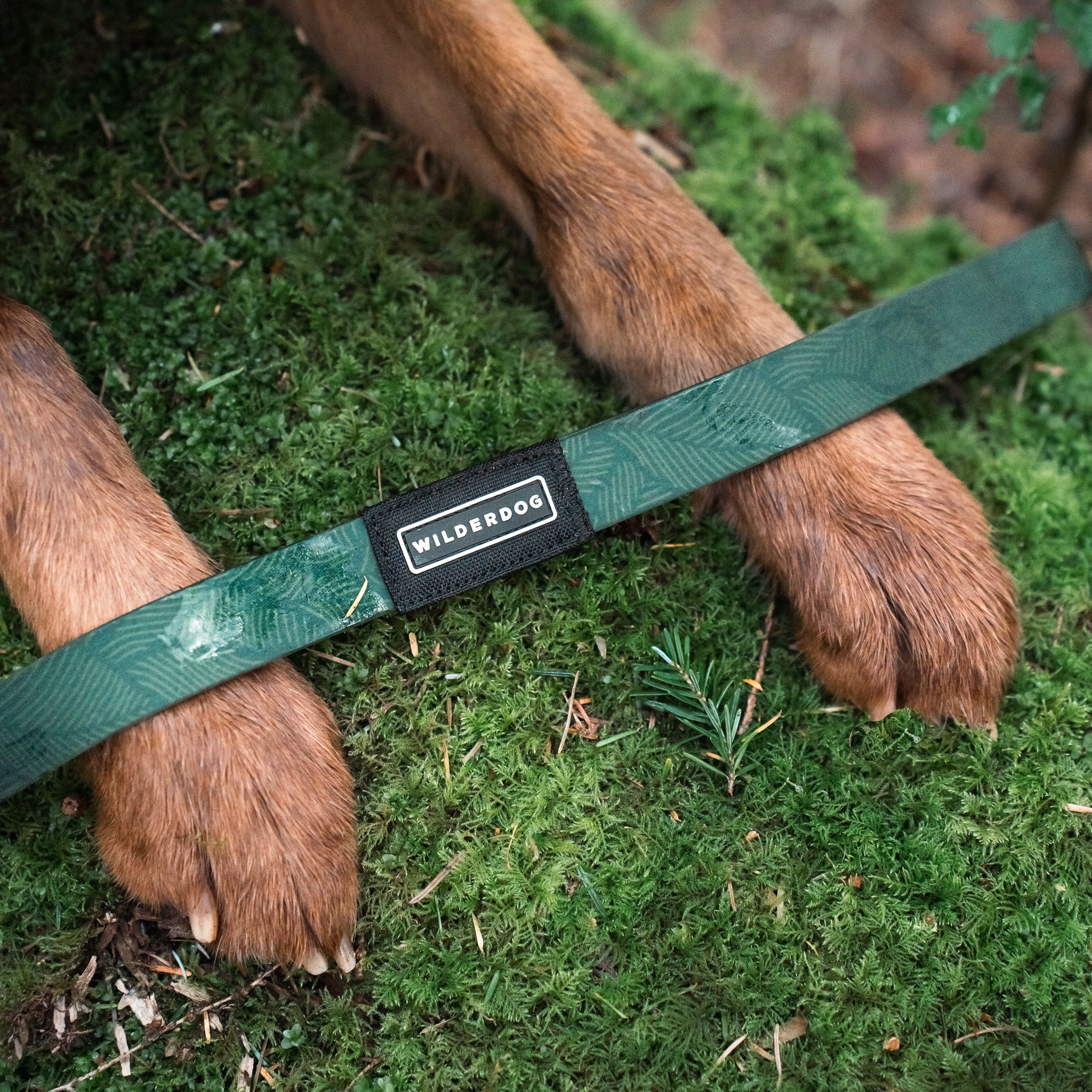 Cedar Waterproof Leash - Image 3