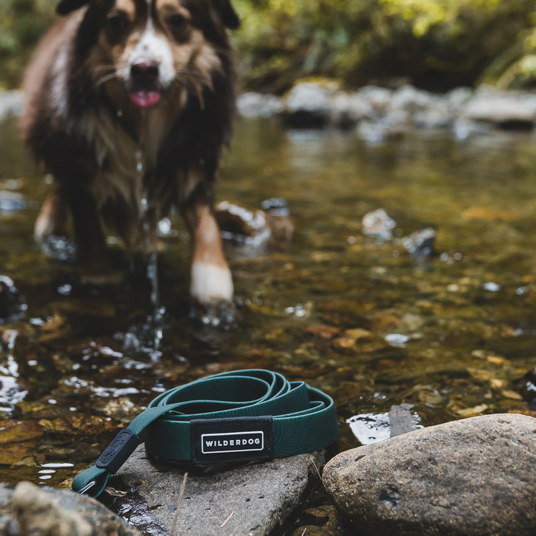 Cedar Waterproof Leash - Image 4