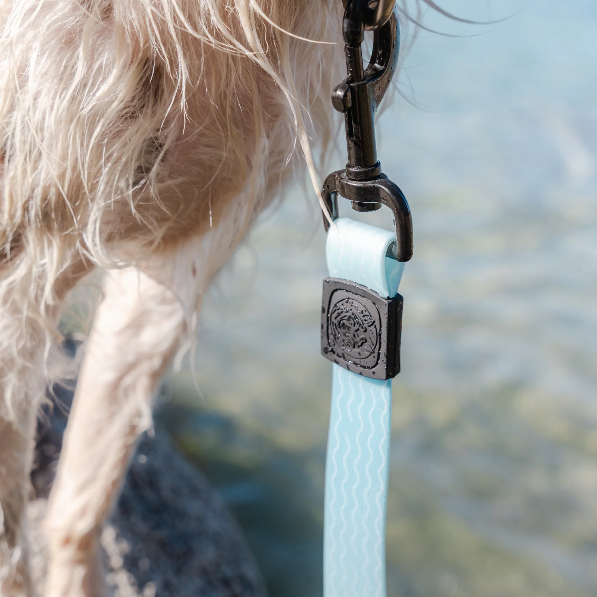 Saltwater Waterproof Leash + Collar Bundle - Image 7