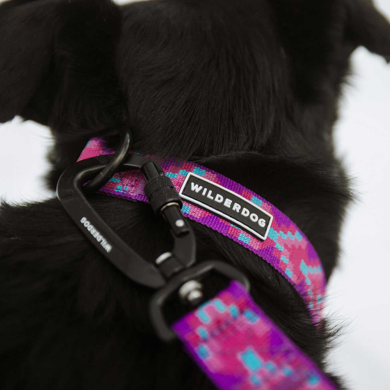 Lupin Ultralight Collar - Image 4