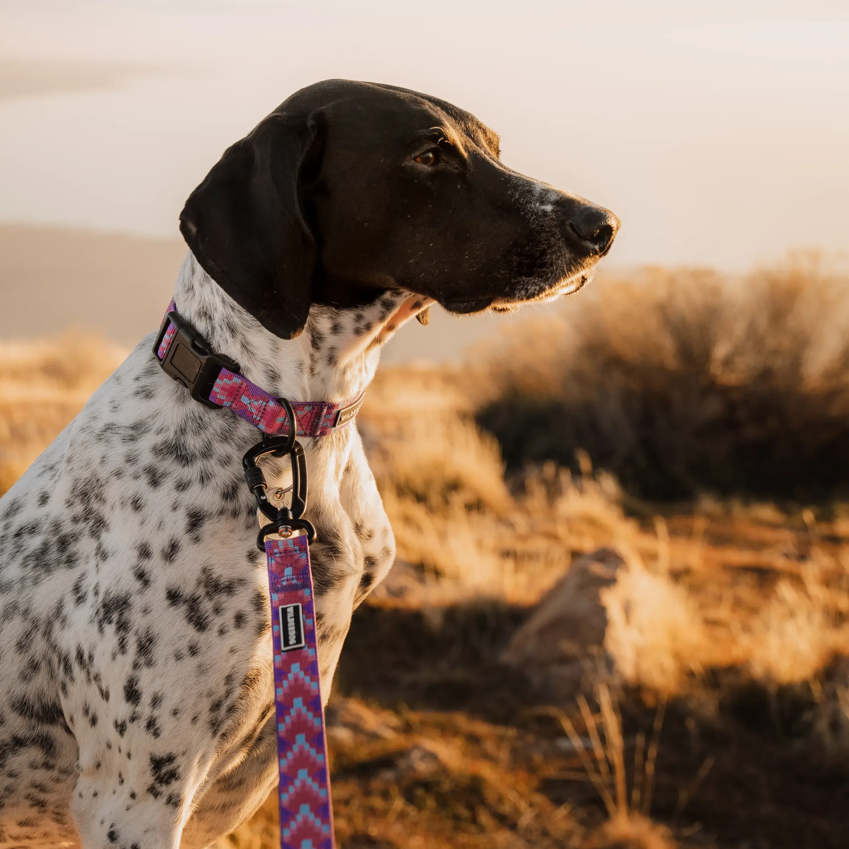 Lupin Ultralight Leash - Image 2