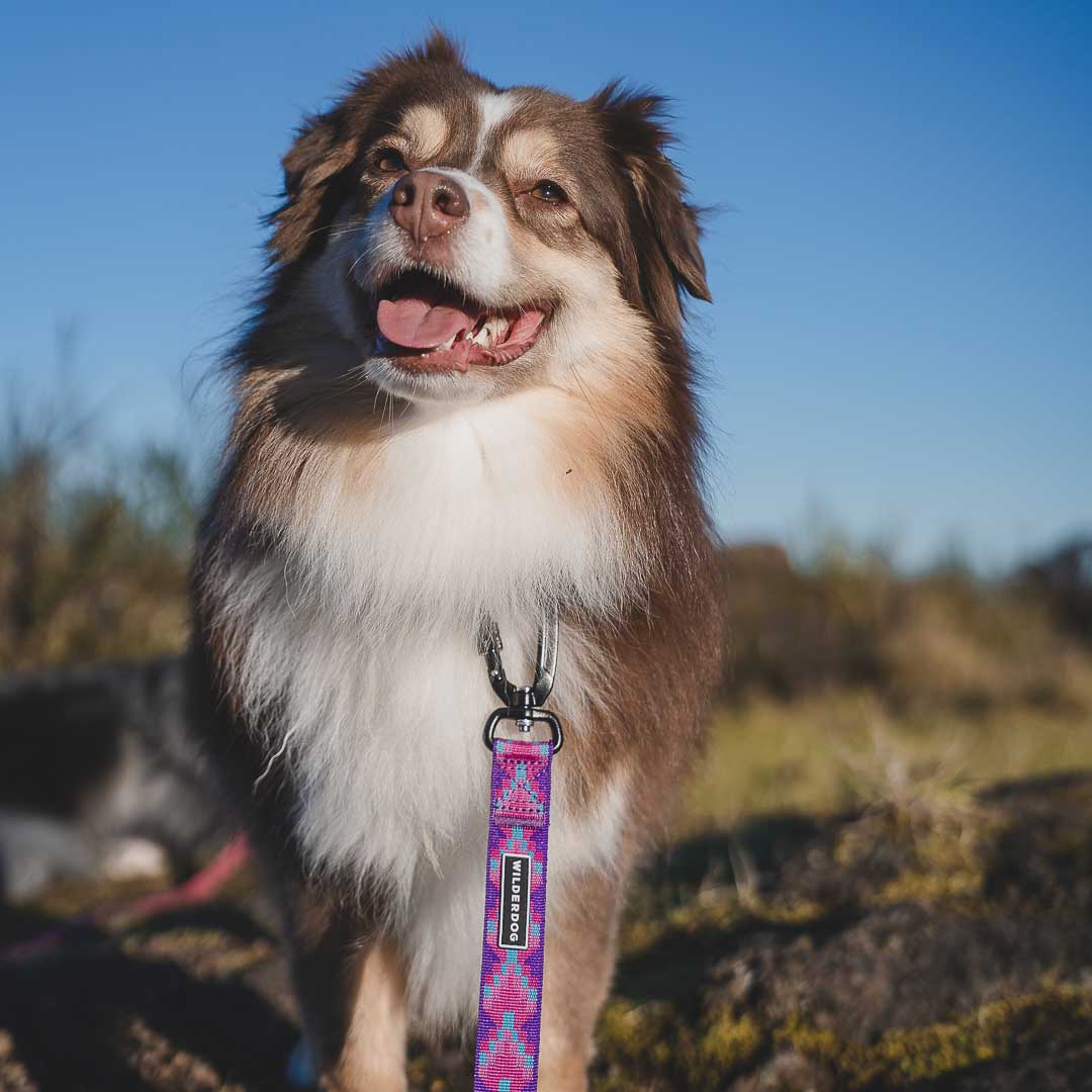 Lupin Ultralight Leash - Image 4