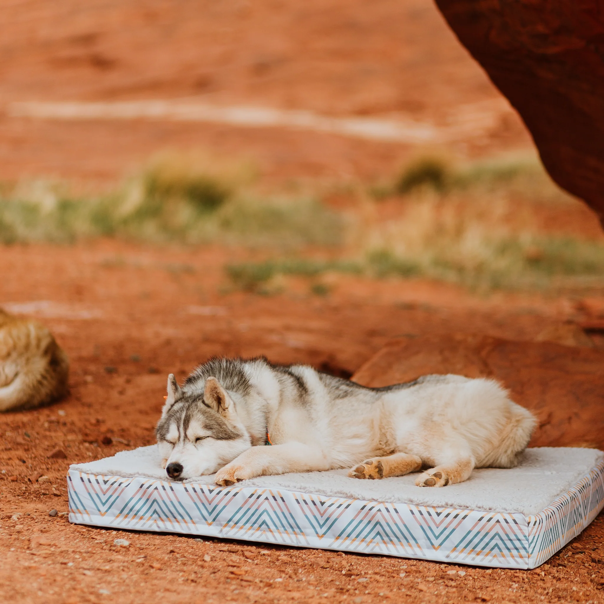 Memory Foam Dog Bed - Image 4