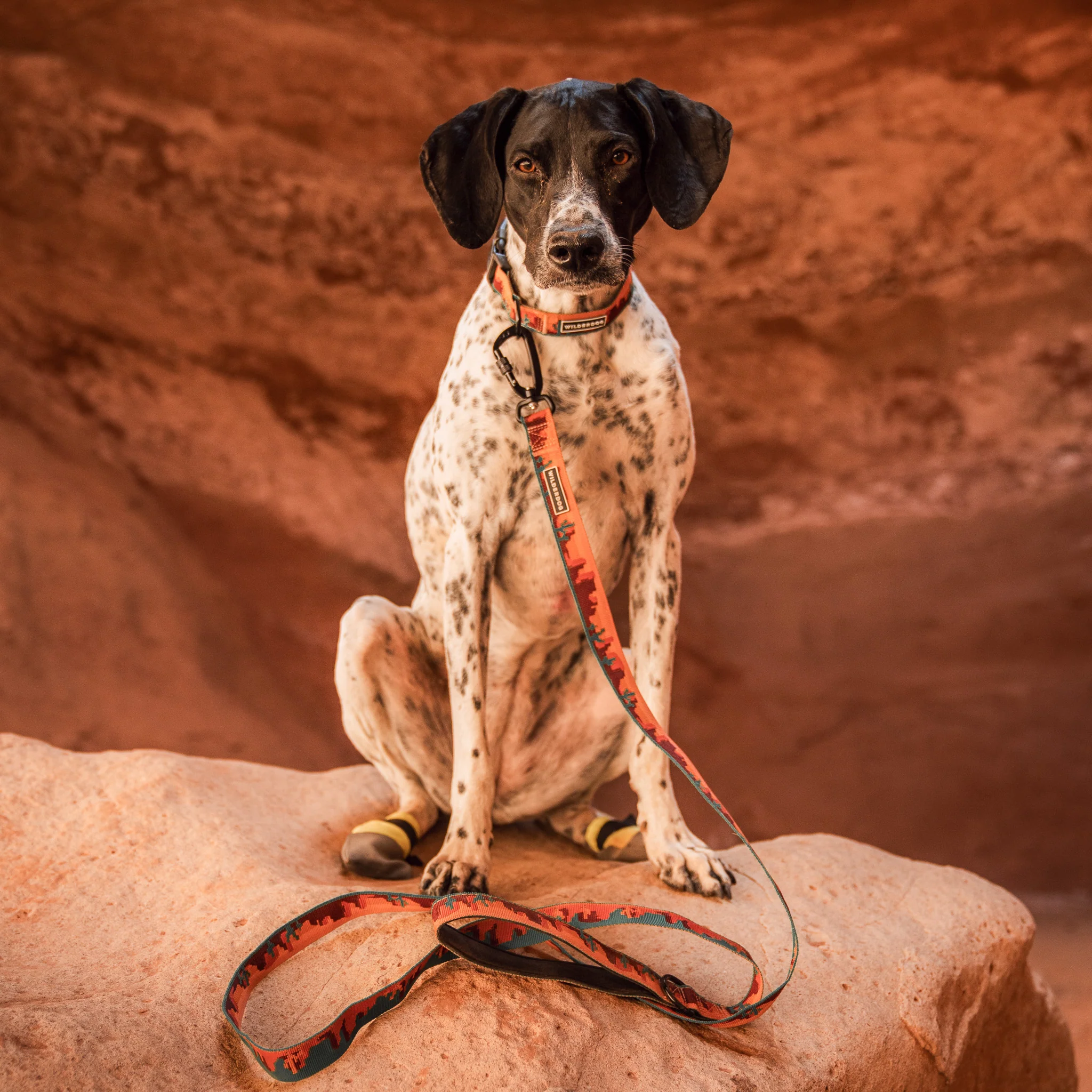 Moab Ultralight Leash - Image 3