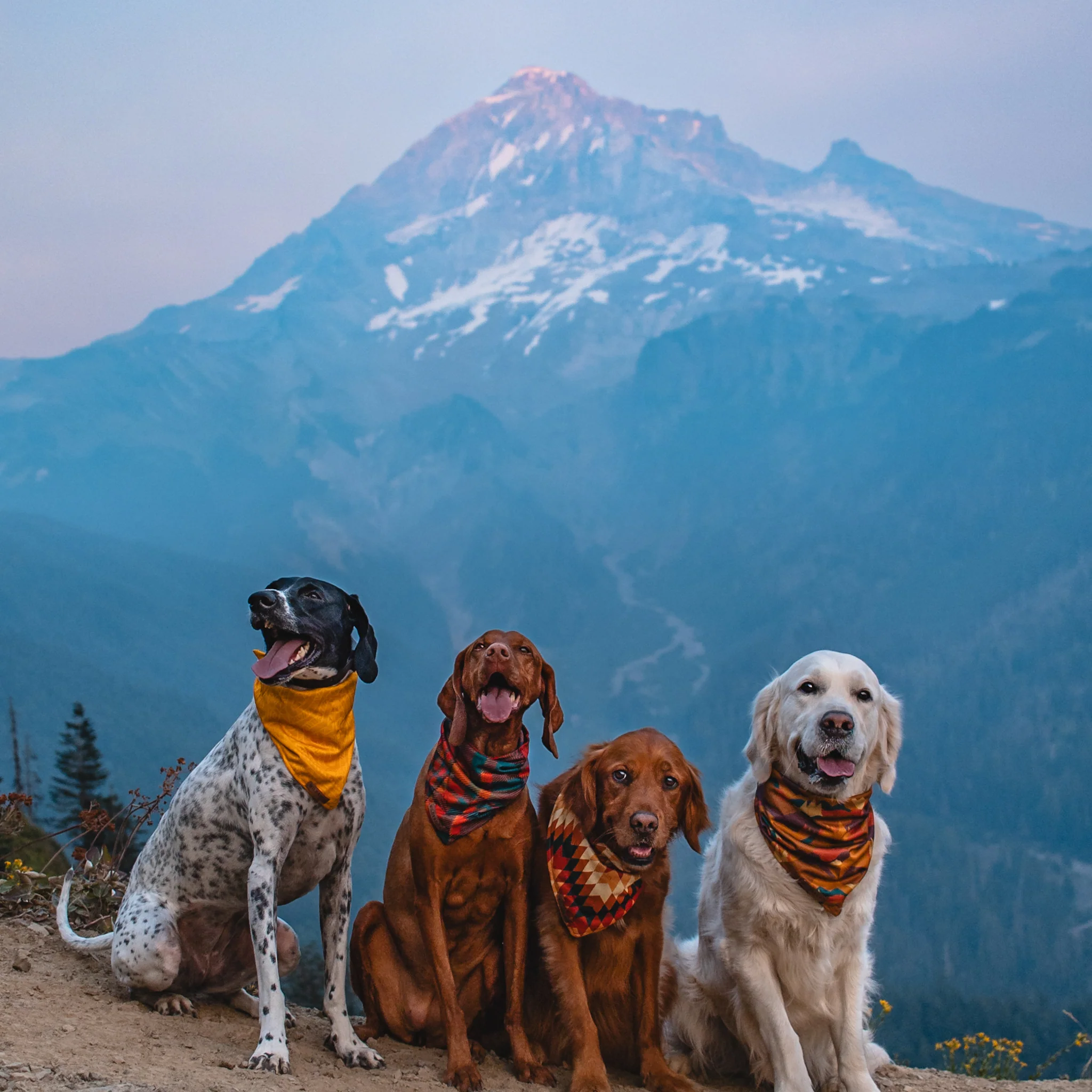 Autumn Air Bandana - Image 4