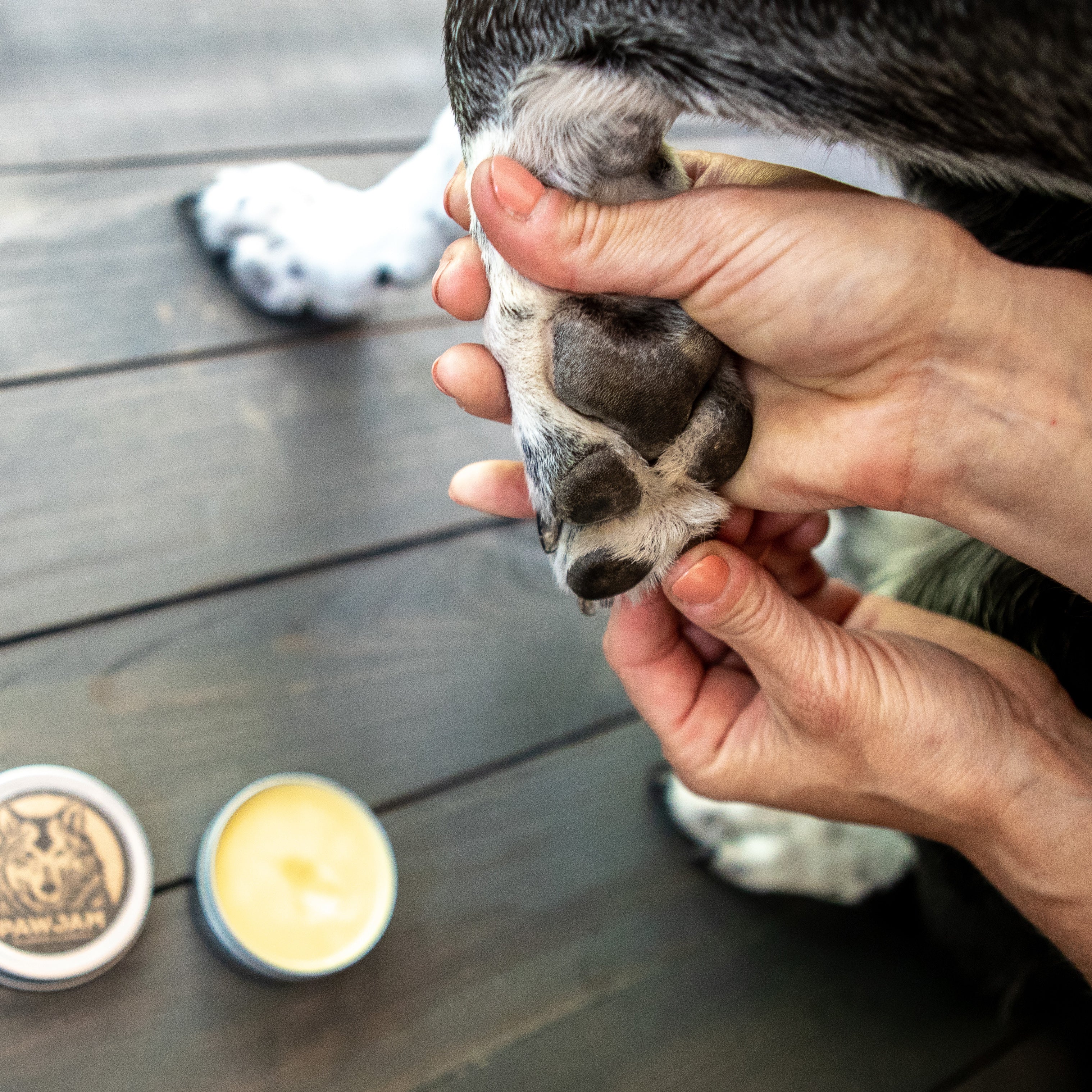 PAWJAM - 12 Pack - Image 4