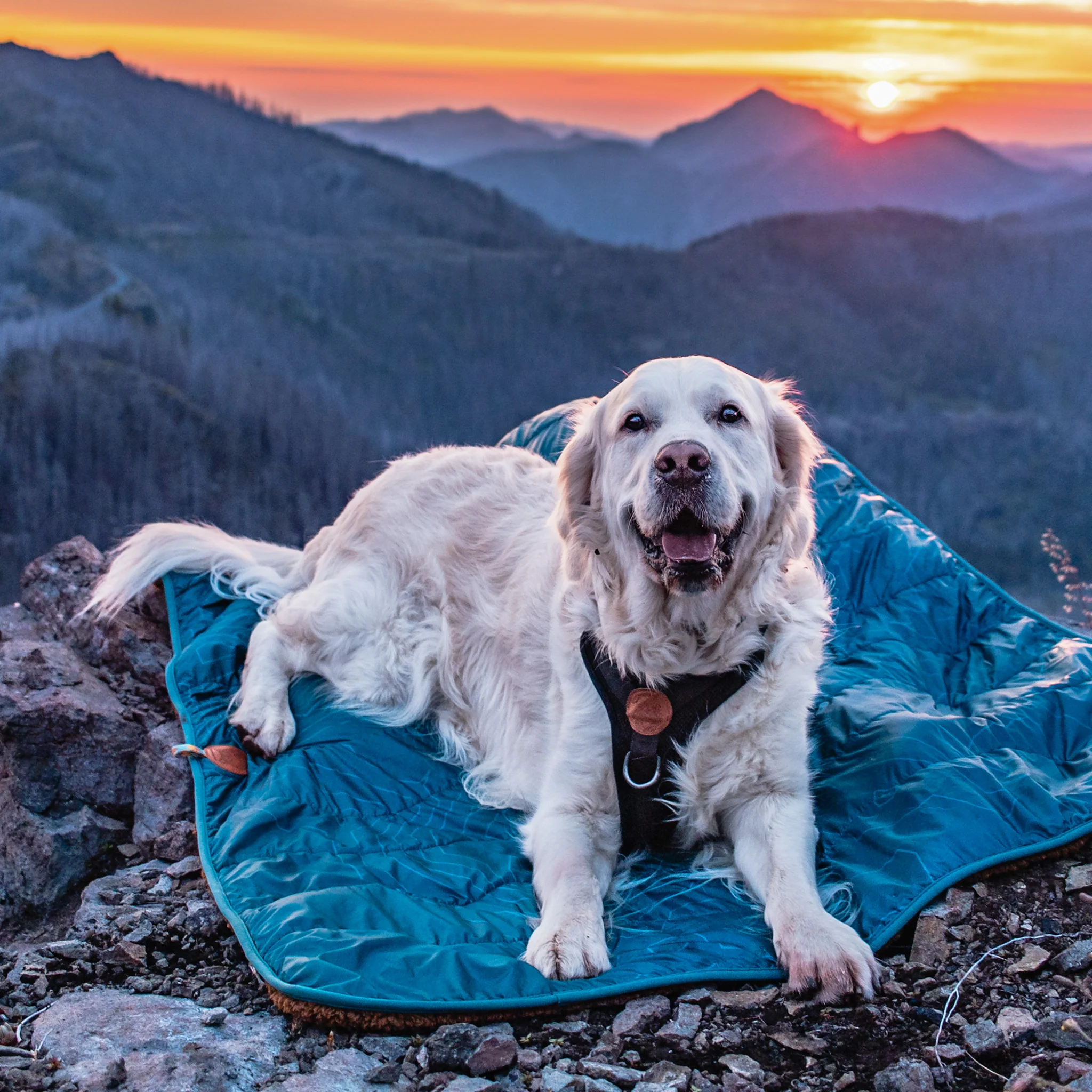 Picnic Blanket - Image 3