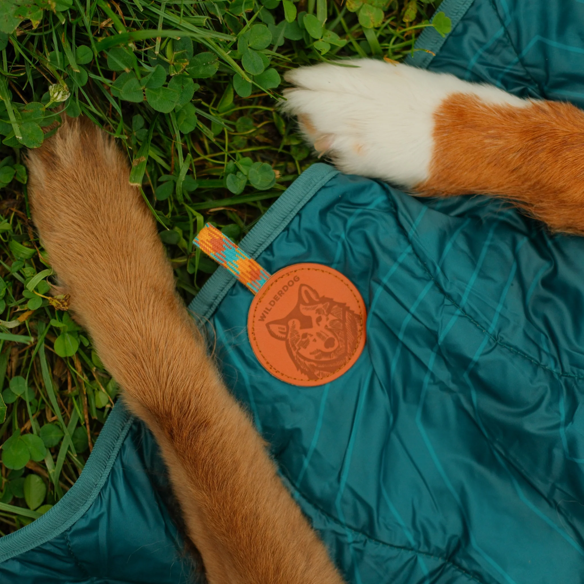 Picnic Blanket - Image 4