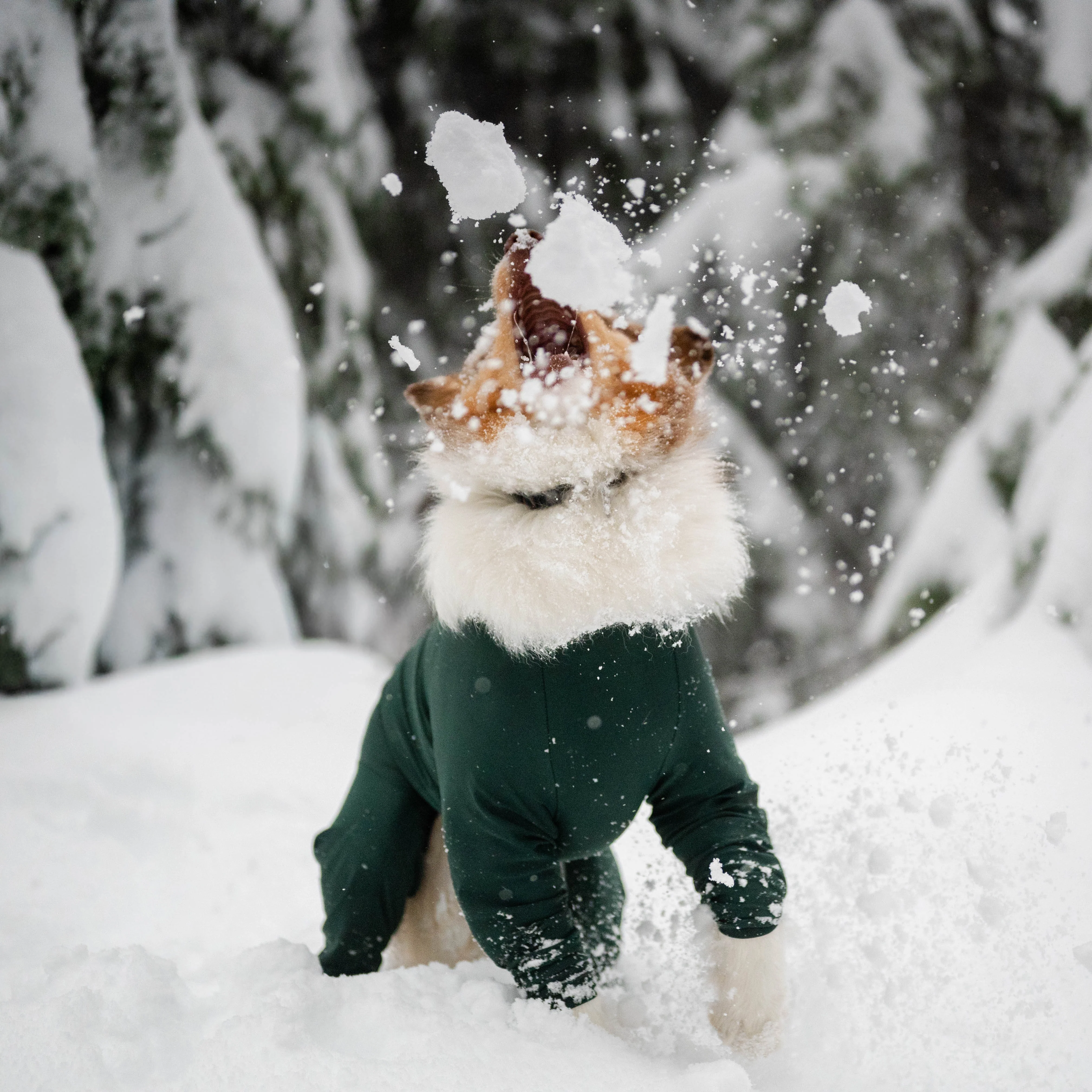 Powsuit - Image 5