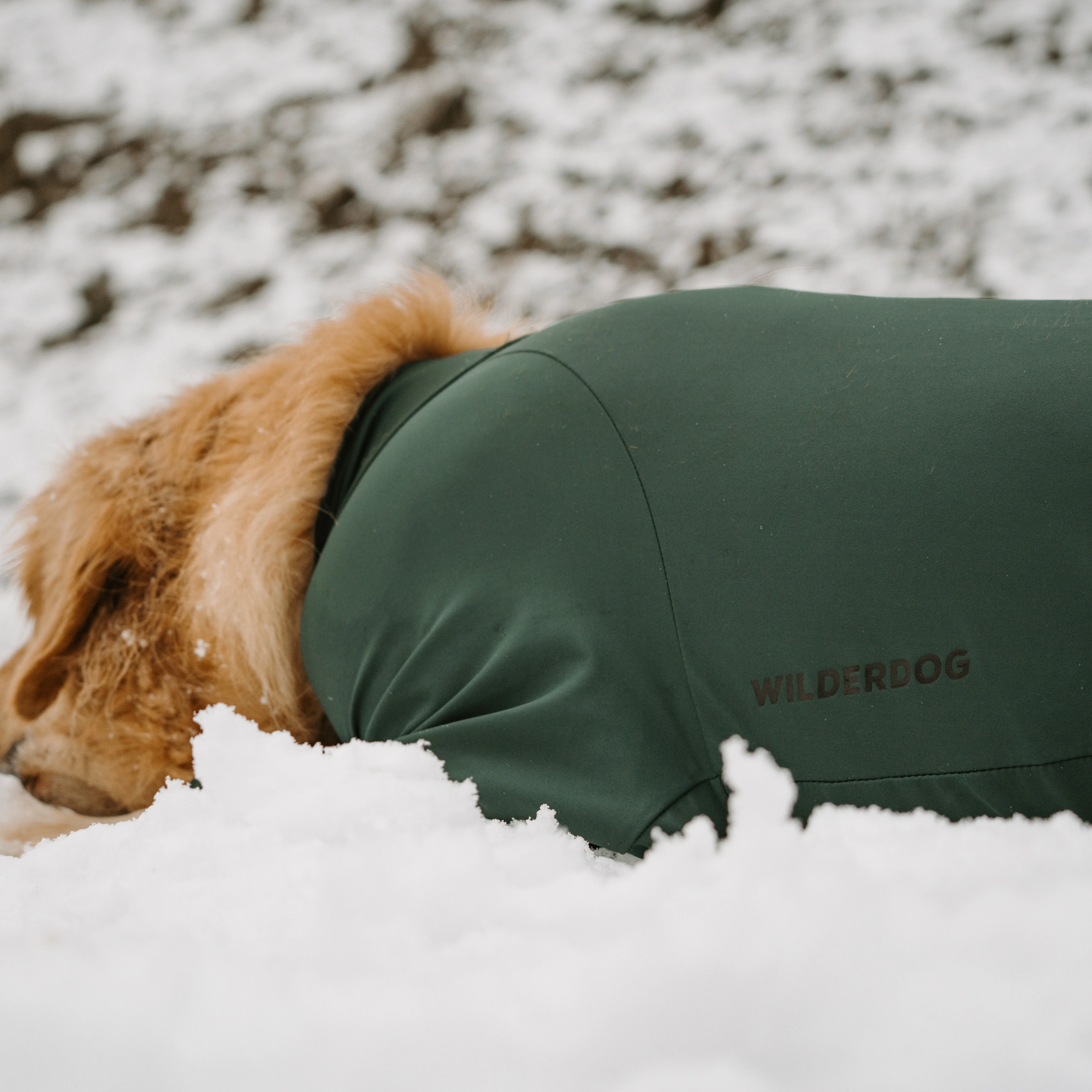 Powsuit - Image 6
