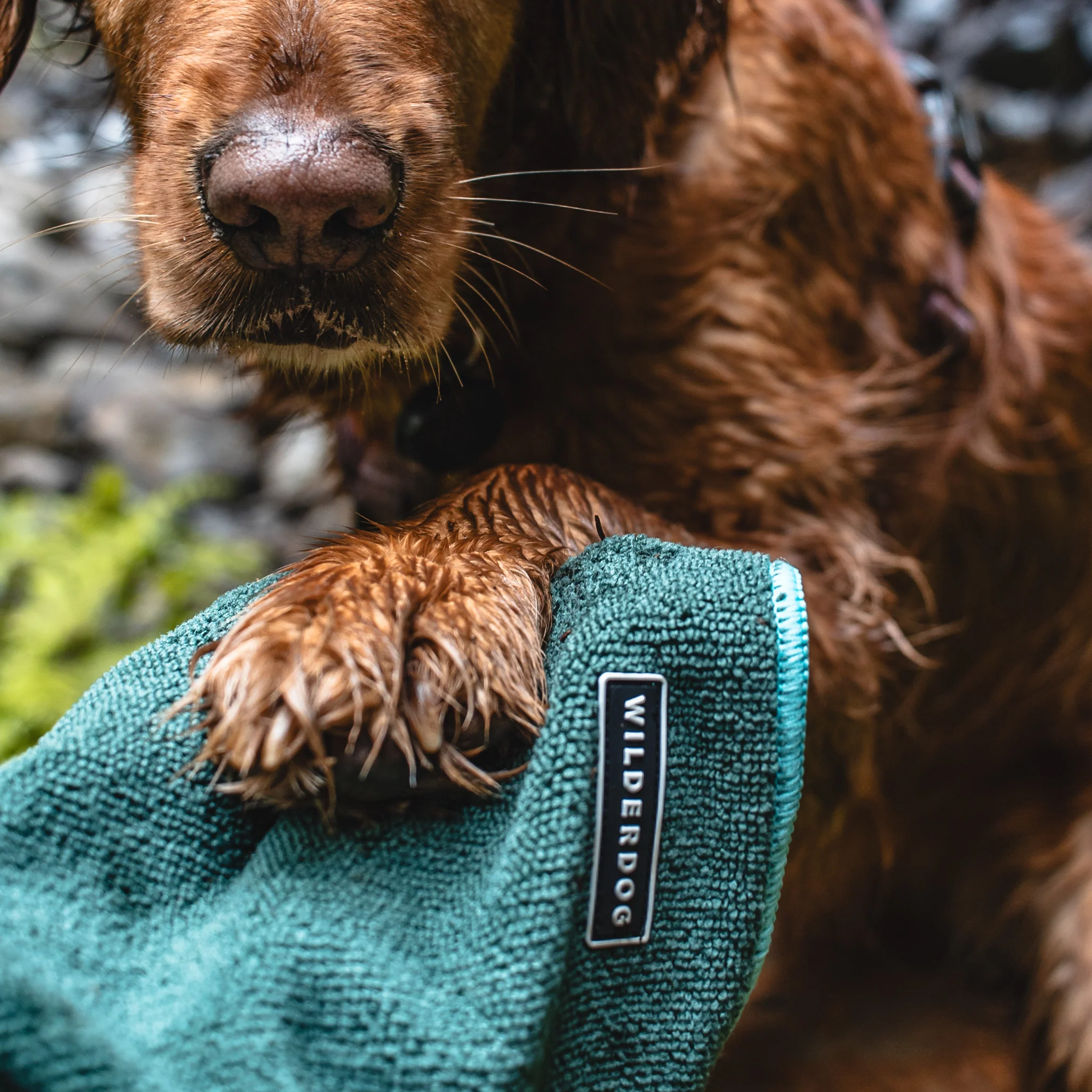 Quick Dry Towel - Image 2