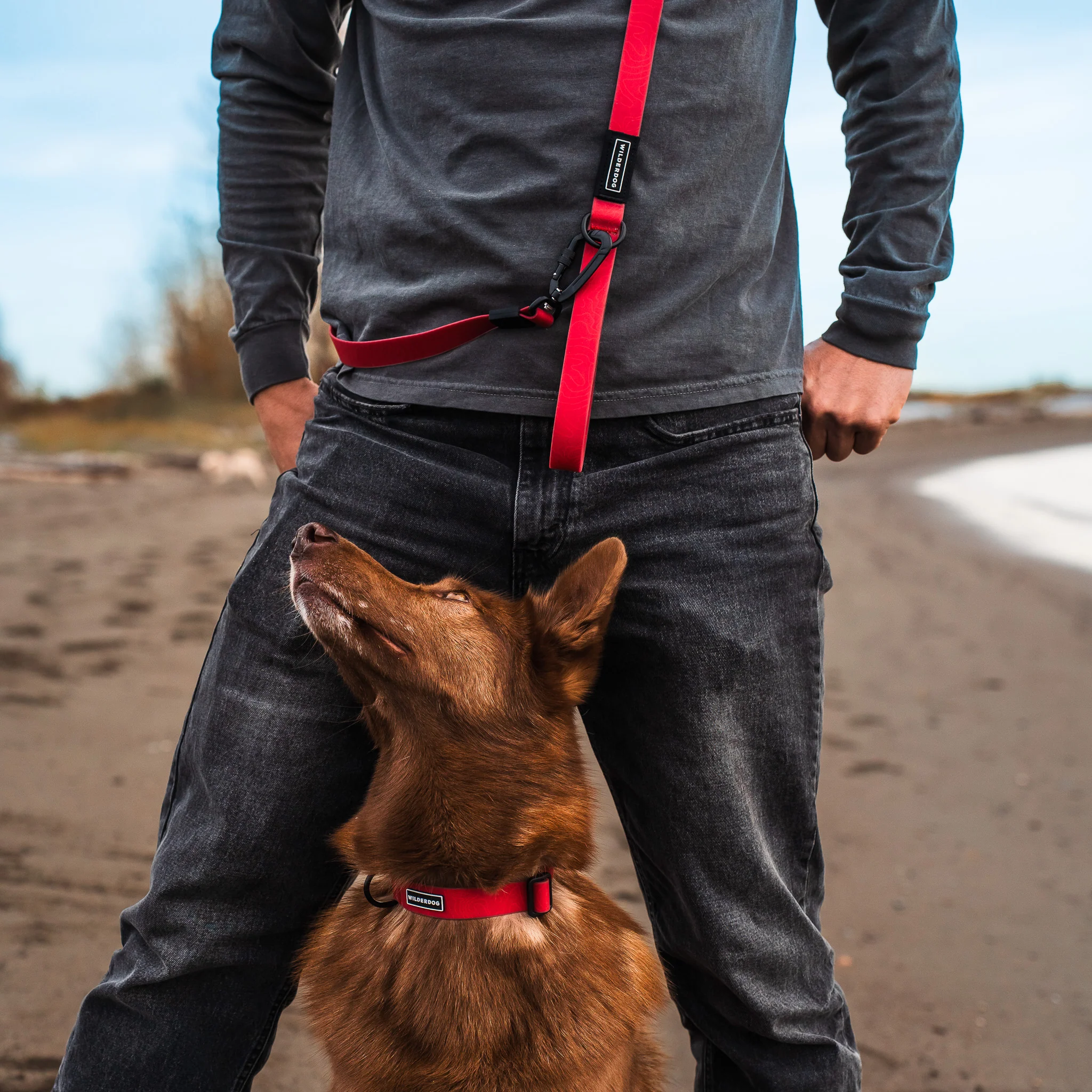 Red Waterproof Pro Leash - Image 5