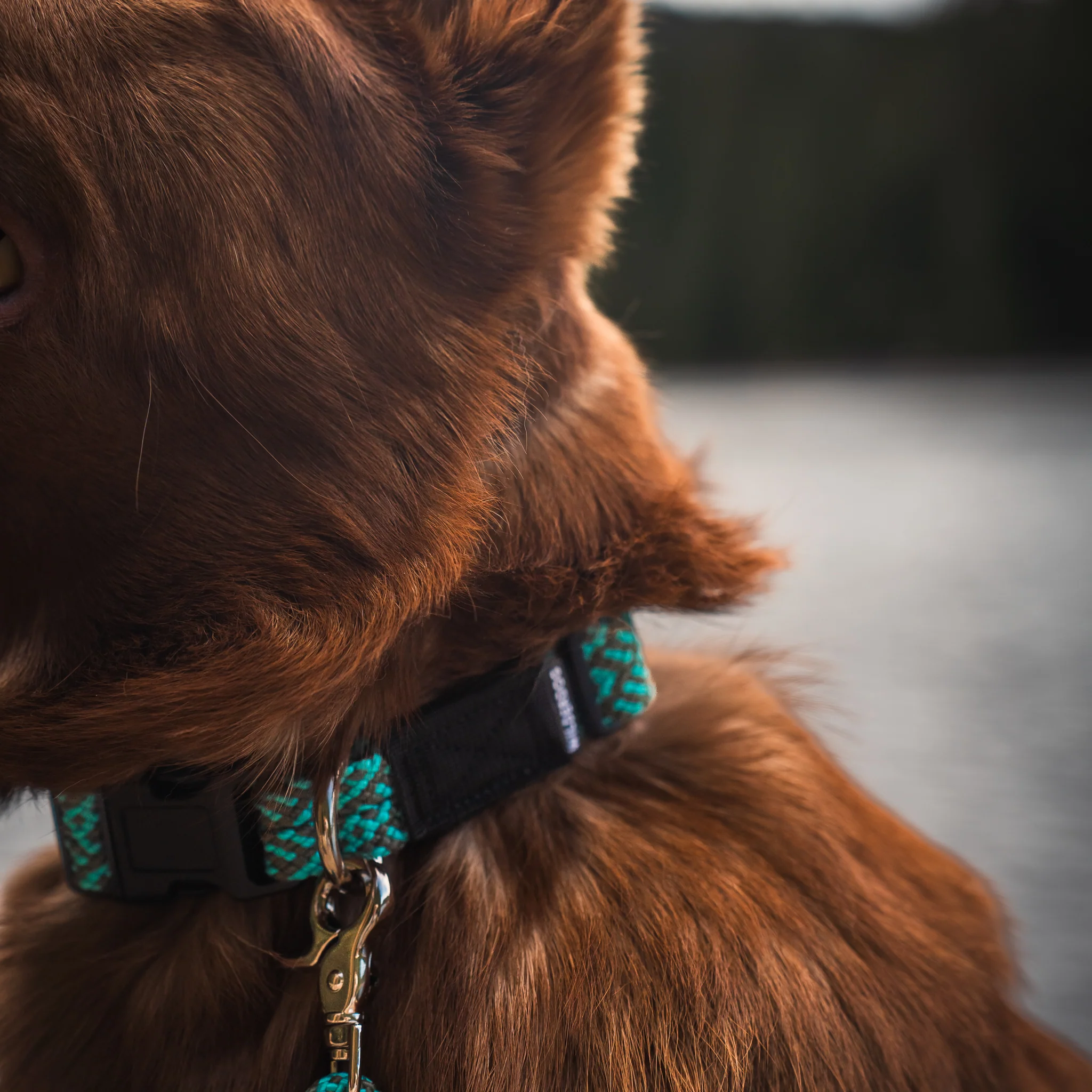 Rope Collar - Image 4
