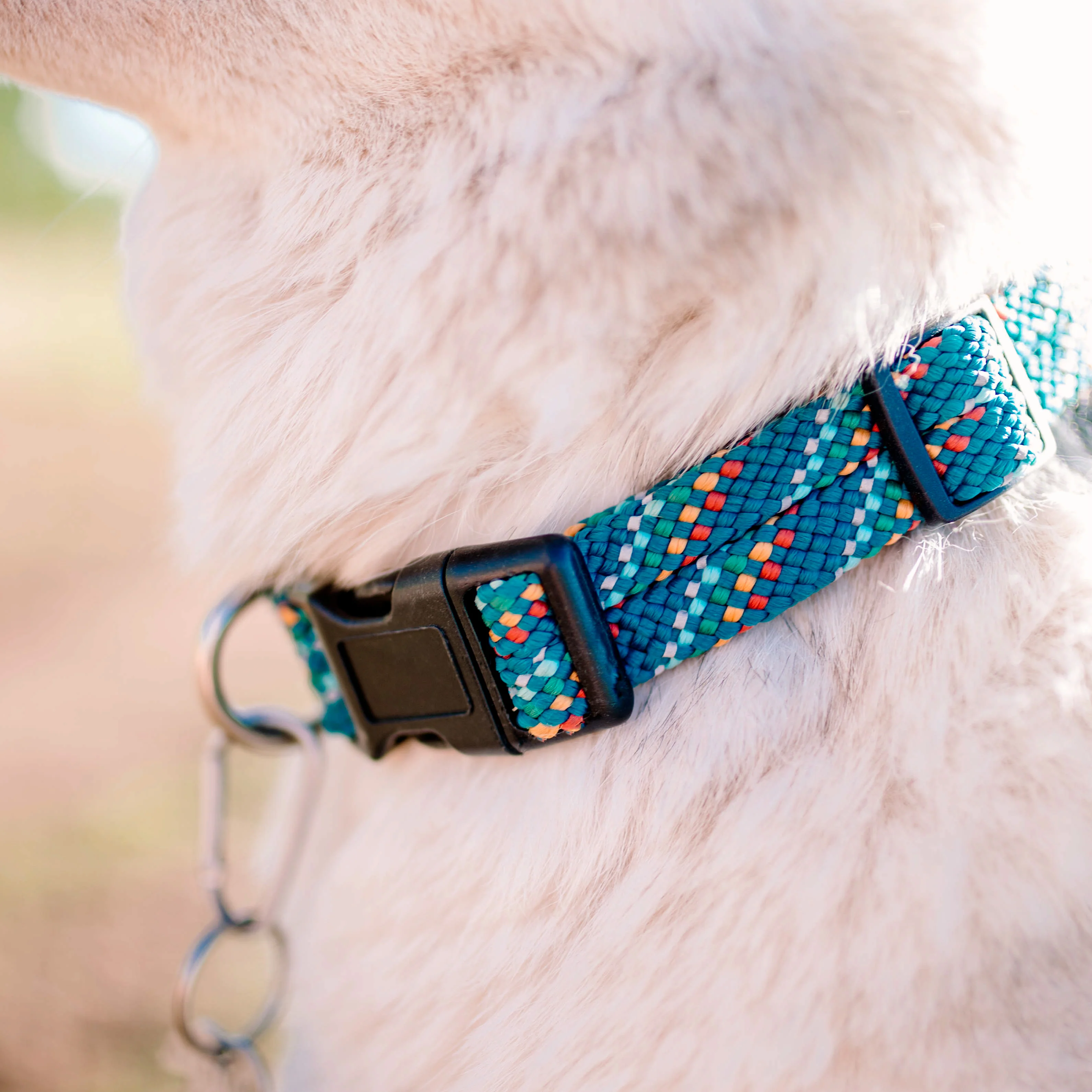 Rope Collar - Image 6