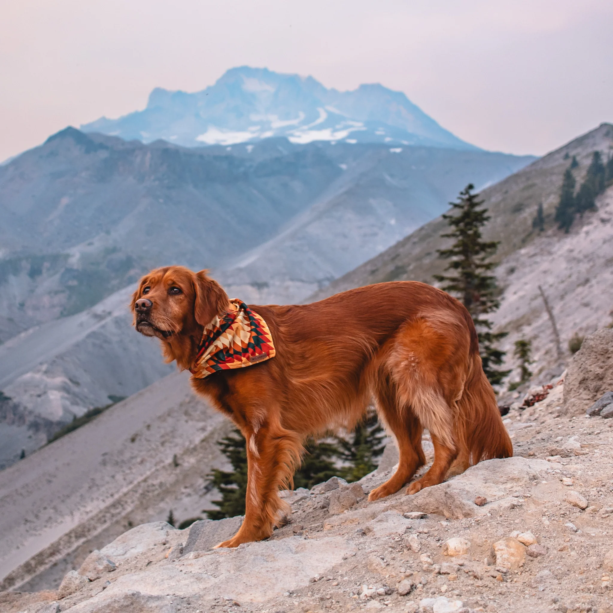 Russet Bandana - Image 3