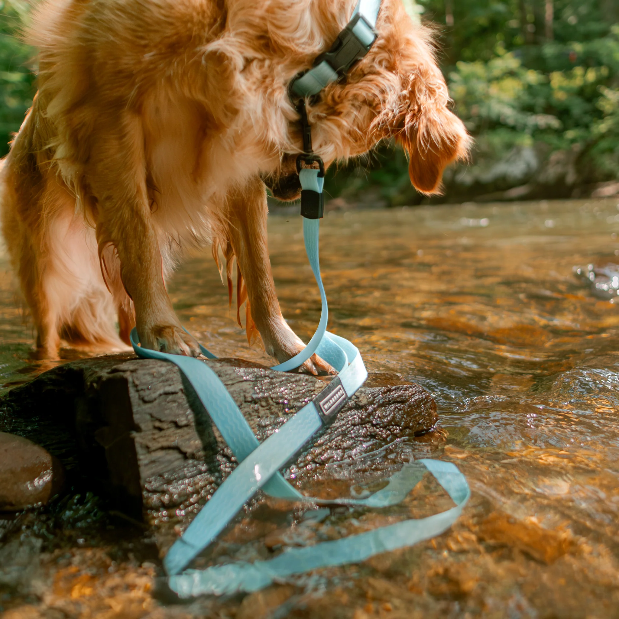 Saltwater Waterproof Leash - Image 4